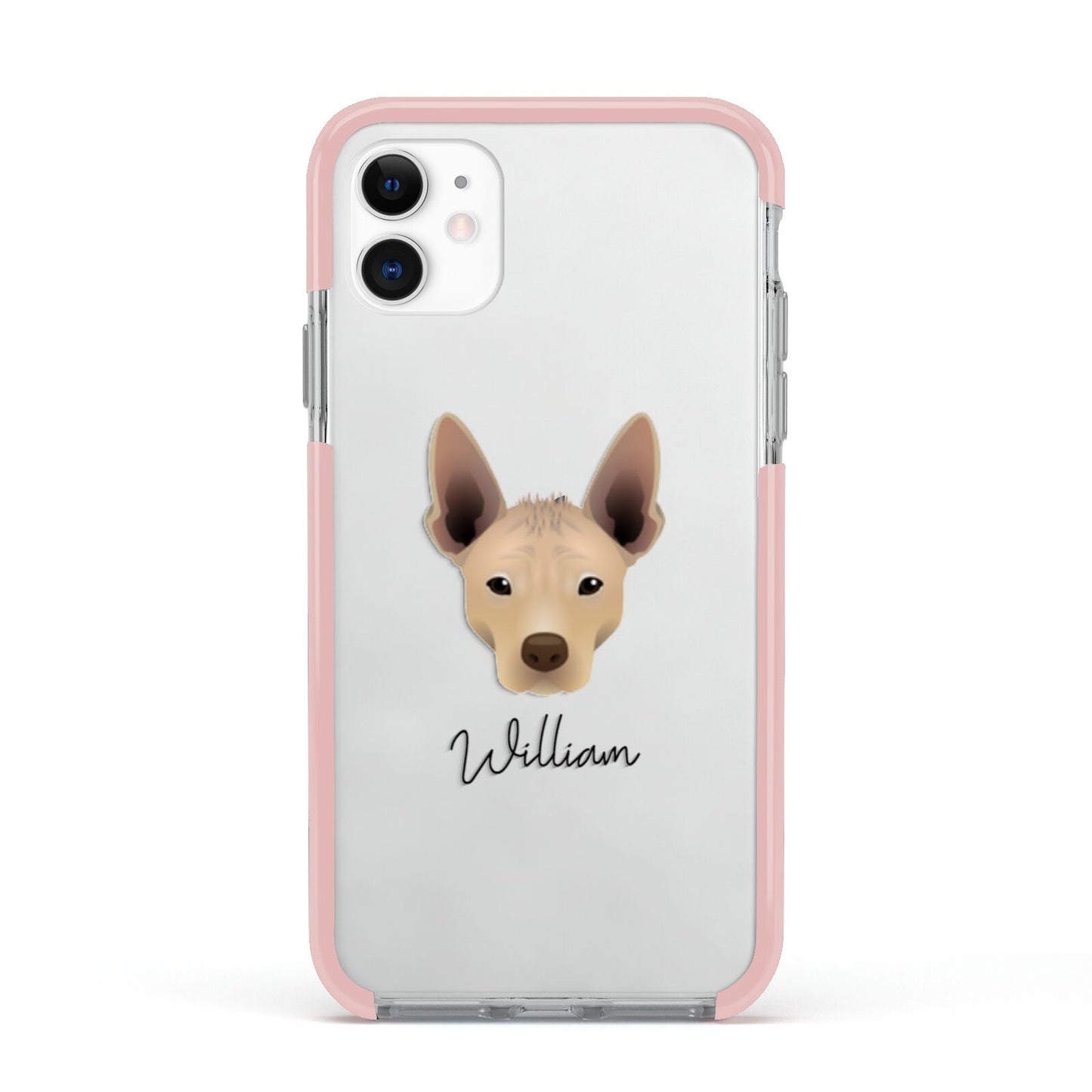 Mexican Hairless Personalised Apple iPhone 11 in White with Pink Impact Case