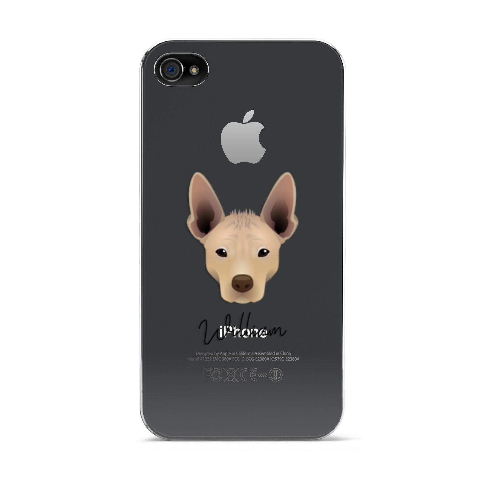 Mexican Hairless Personalised Apple iPhone 4s Case