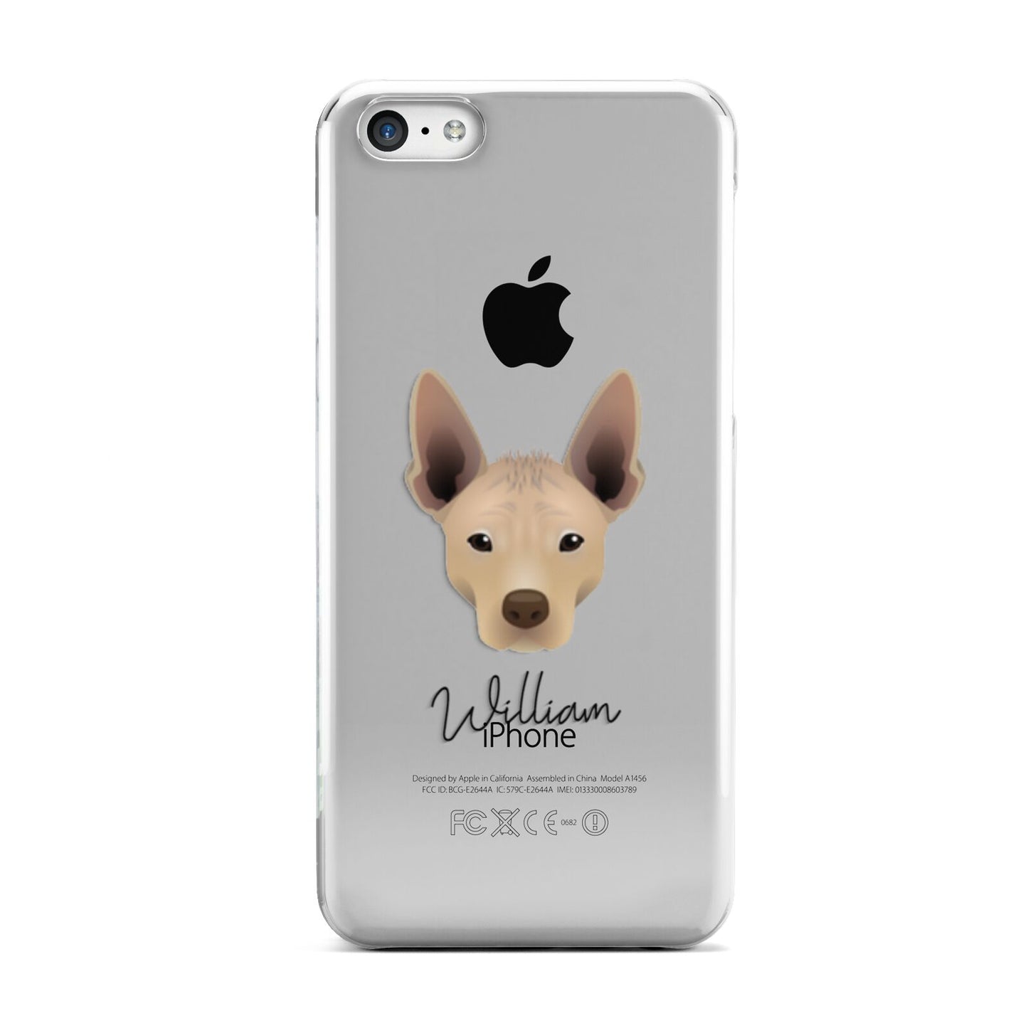Mexican Hairless Personalised Apple iPhone 5c Case