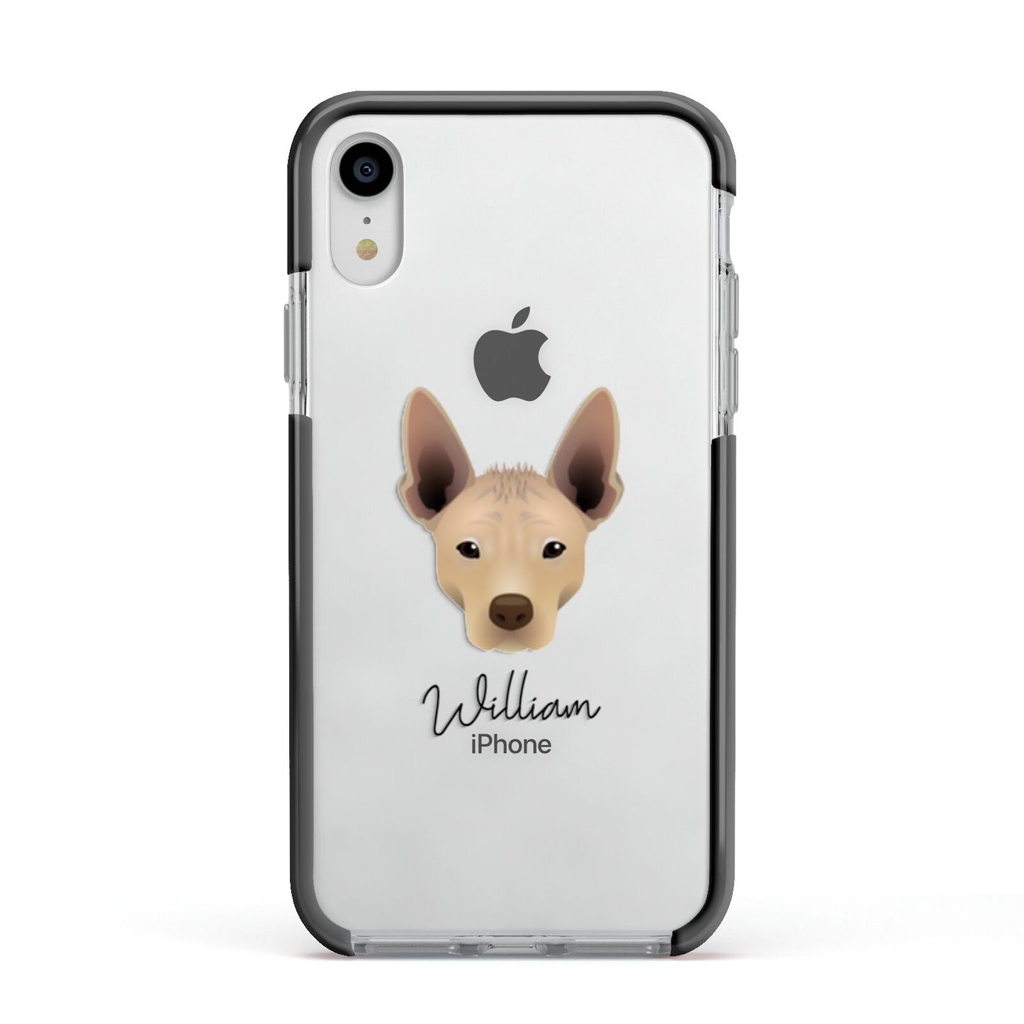 Mexican Hairless Personalised Apple iPhone XR Impact Case Black Edge on Silver Phone