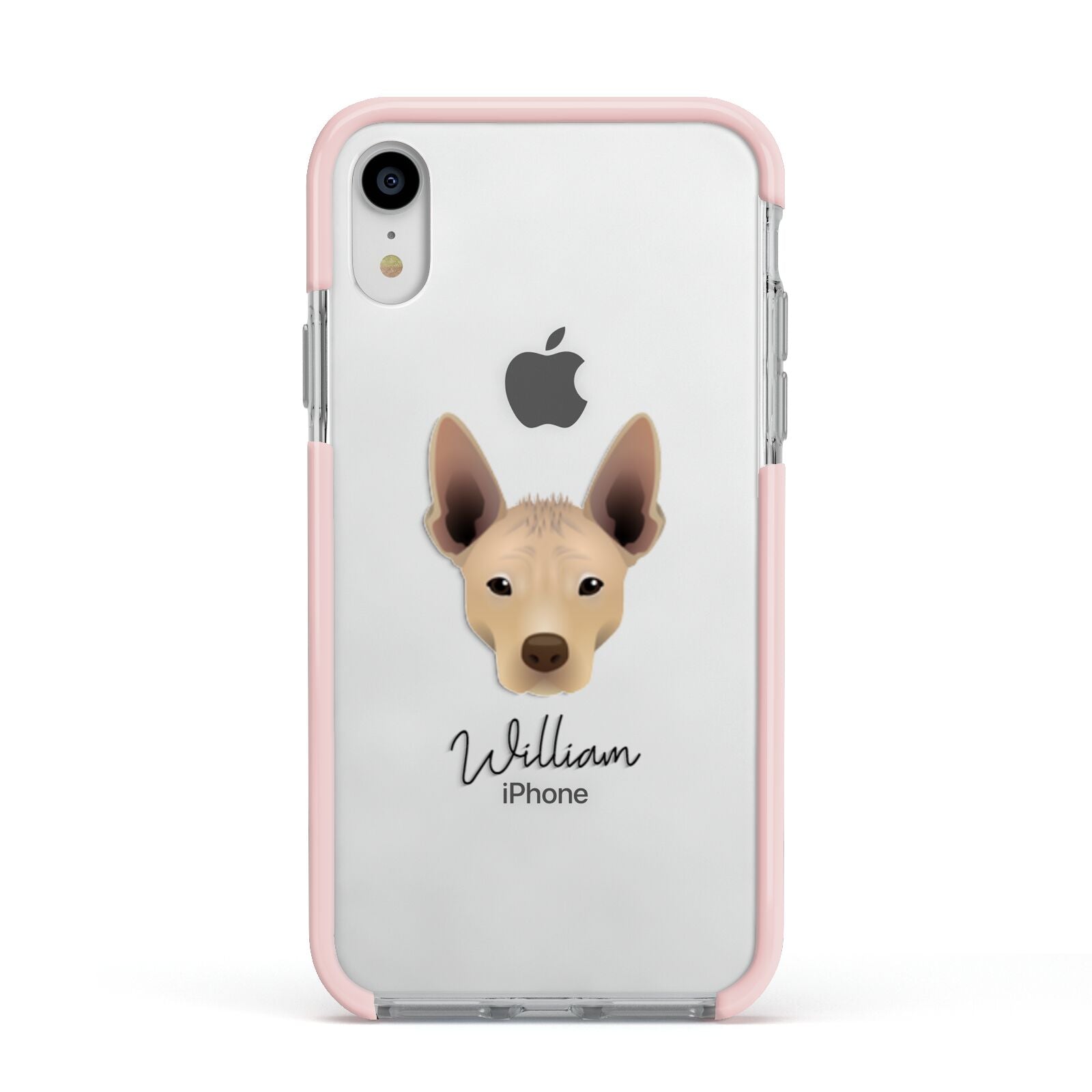 Mexican Hairless Personalised Apple iPhone XR Impact Case Pink Edge on Silver Phone