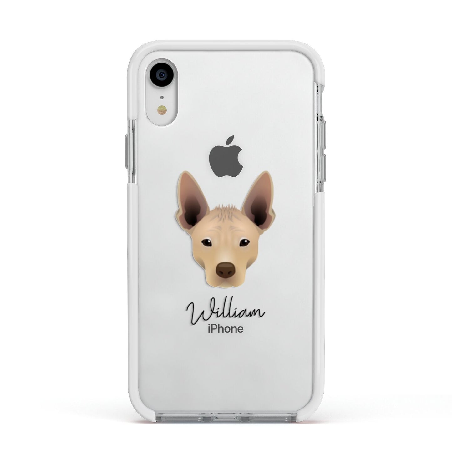 Mexican Hairless Personalised Apple iPhone XR Impact Case White Edge on Silver Phone