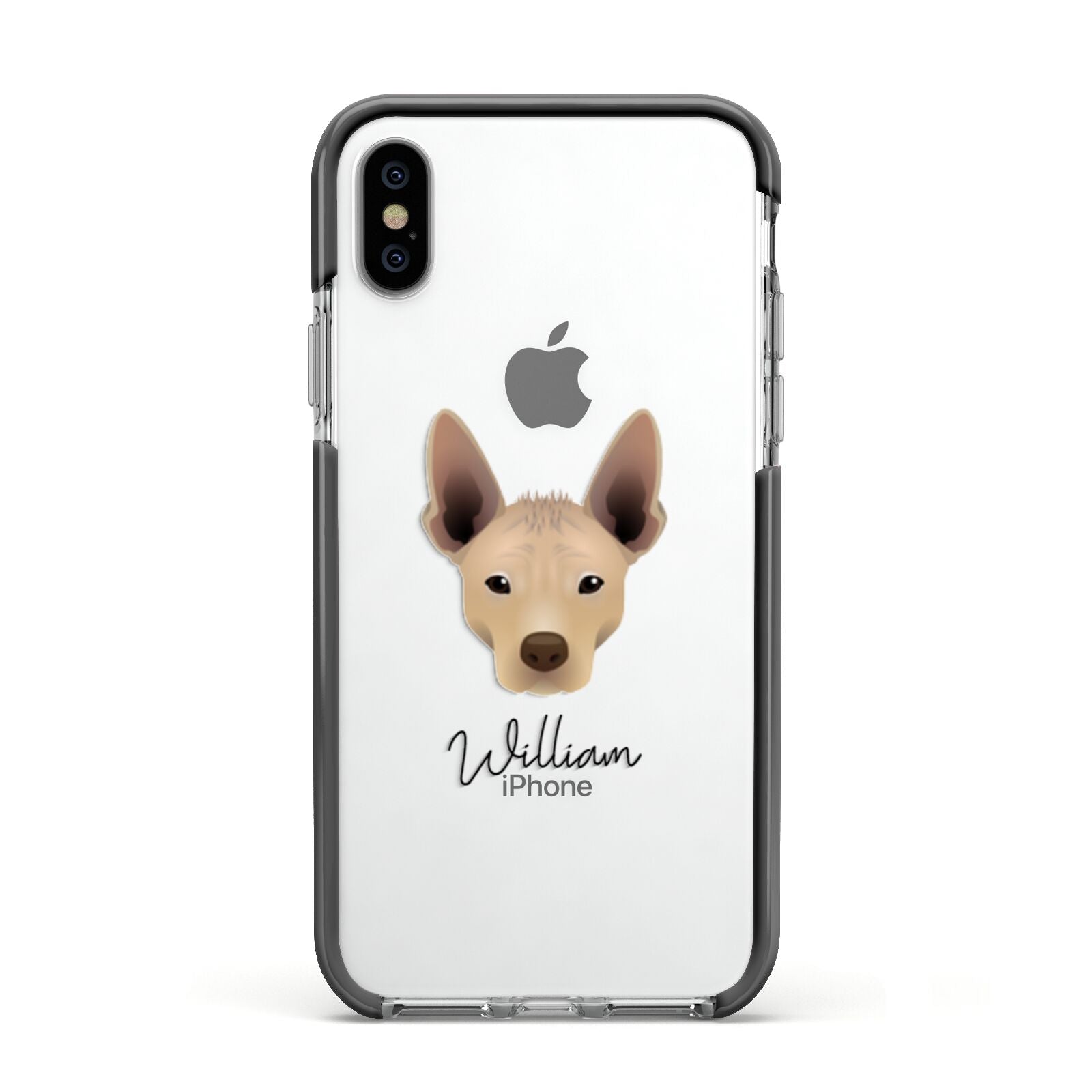 Mexican Hairless Personalised Apple iPhone Xs Impact Case Black Edge on Silver Phone