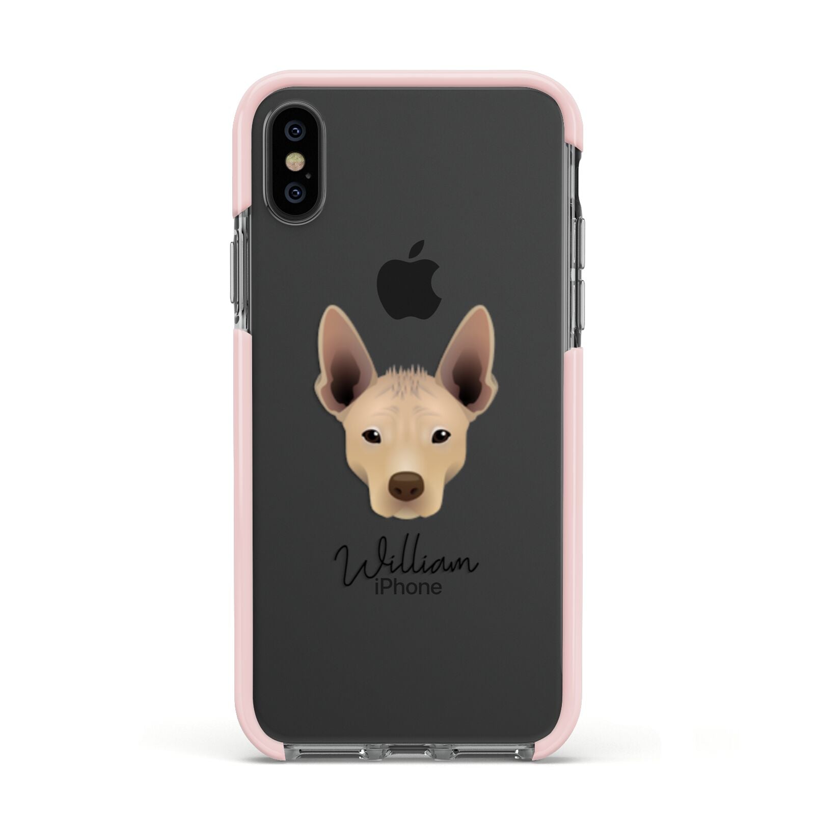 Mexican Hairless Personalised Apple iPhone Xs Impact Case Pink Edge on Black Phone