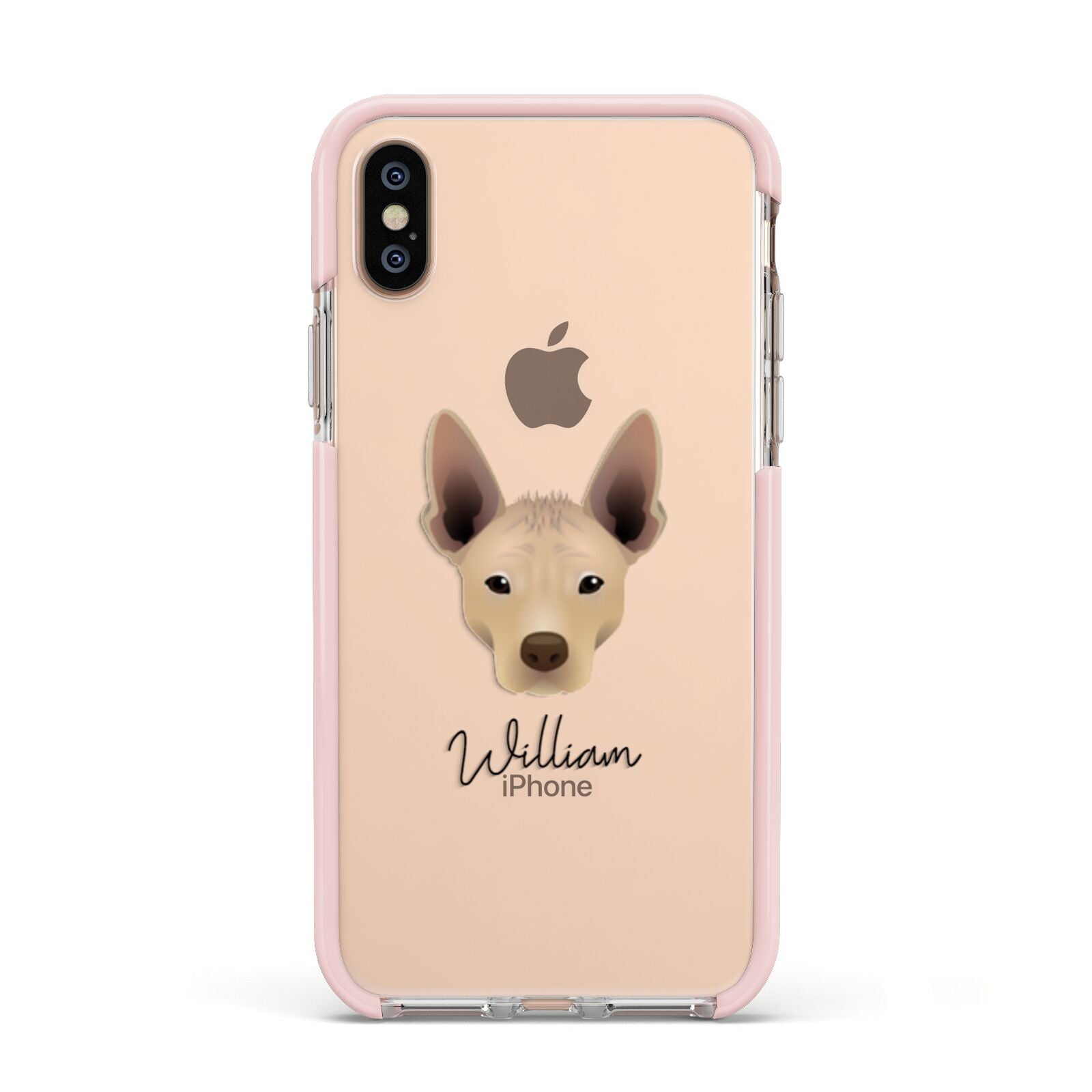 Mexican Hairless Personalised Apple iPhone Xs Impact Case Pink Edge on Gold Phone