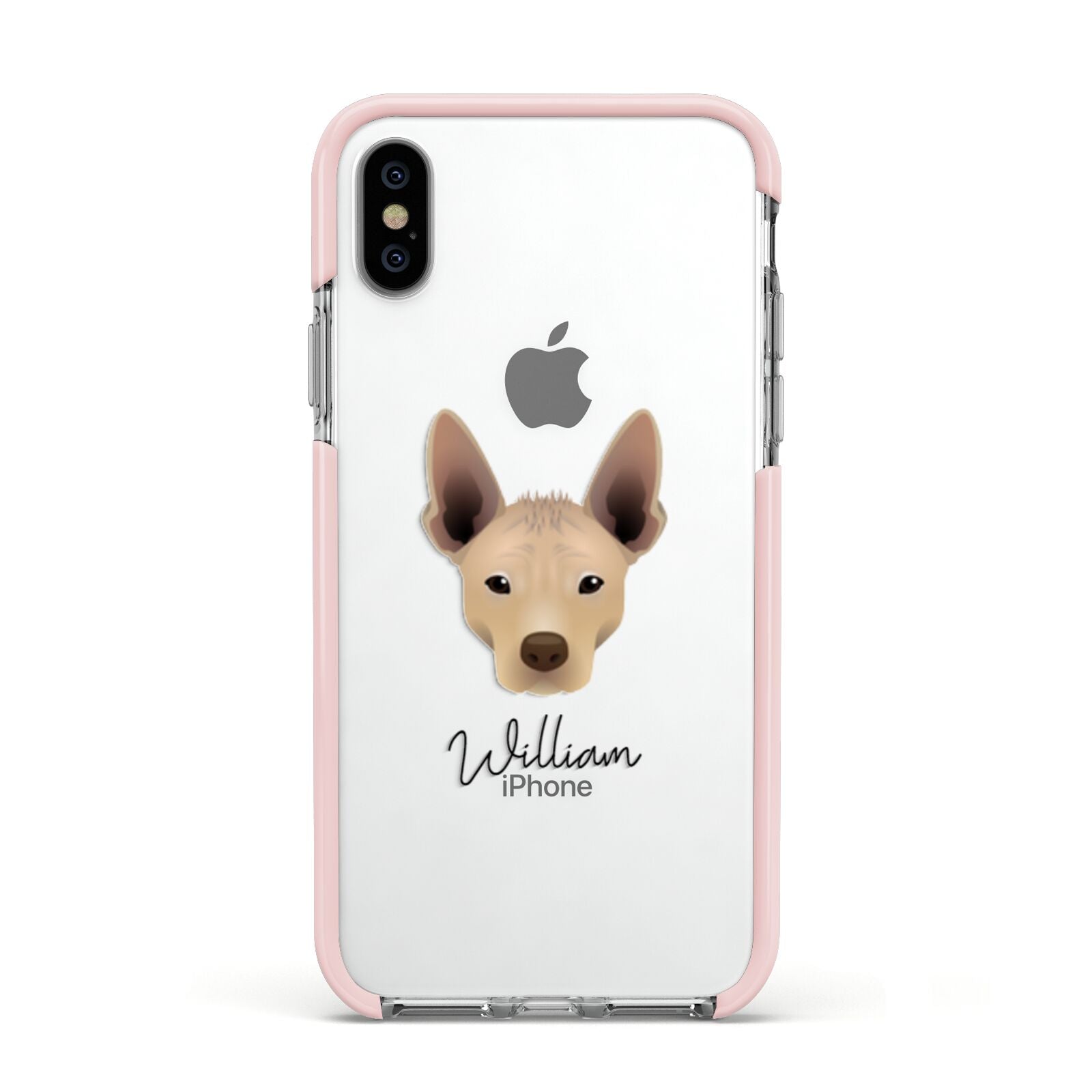 Mexican Hairless Personalised Apple iPhone Xs Impact Case Pink Edge on Silver Phone