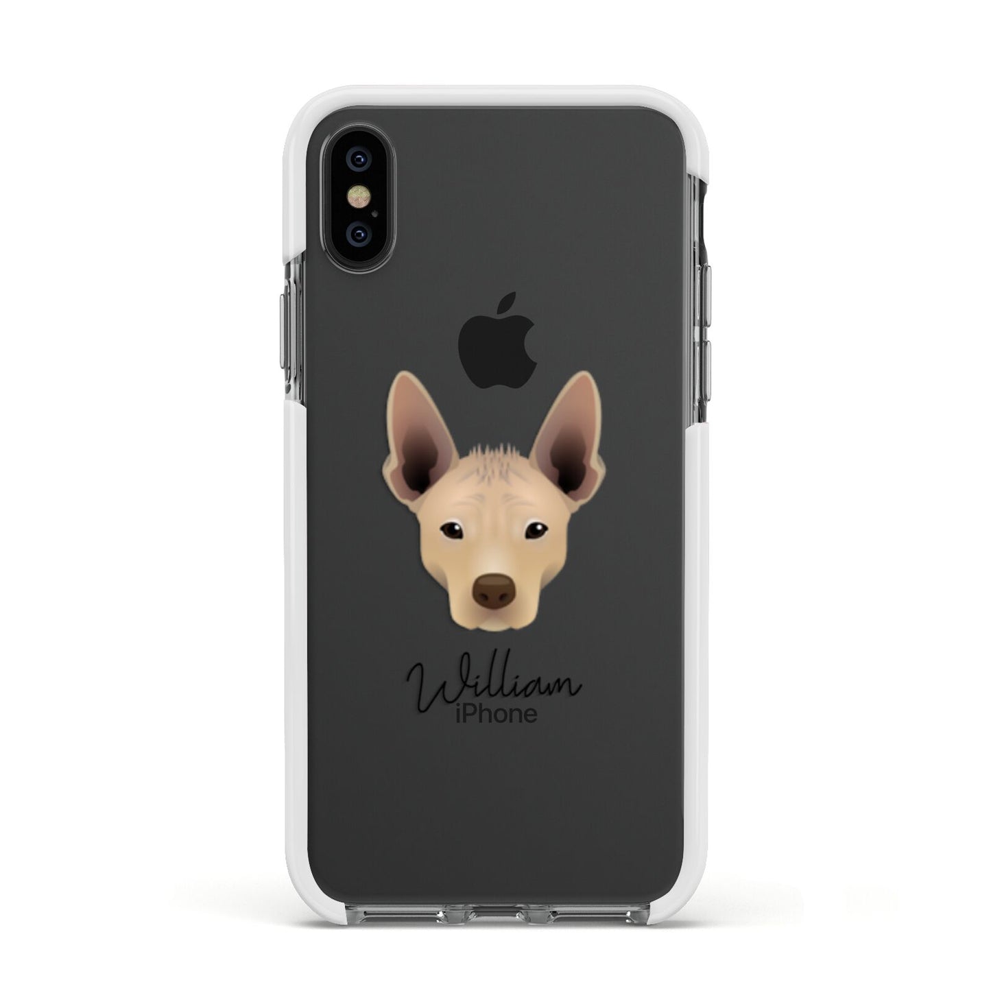 Mexican Hairless Personalised Apple iPhone Xs Impact Case White Edge on Black Phone