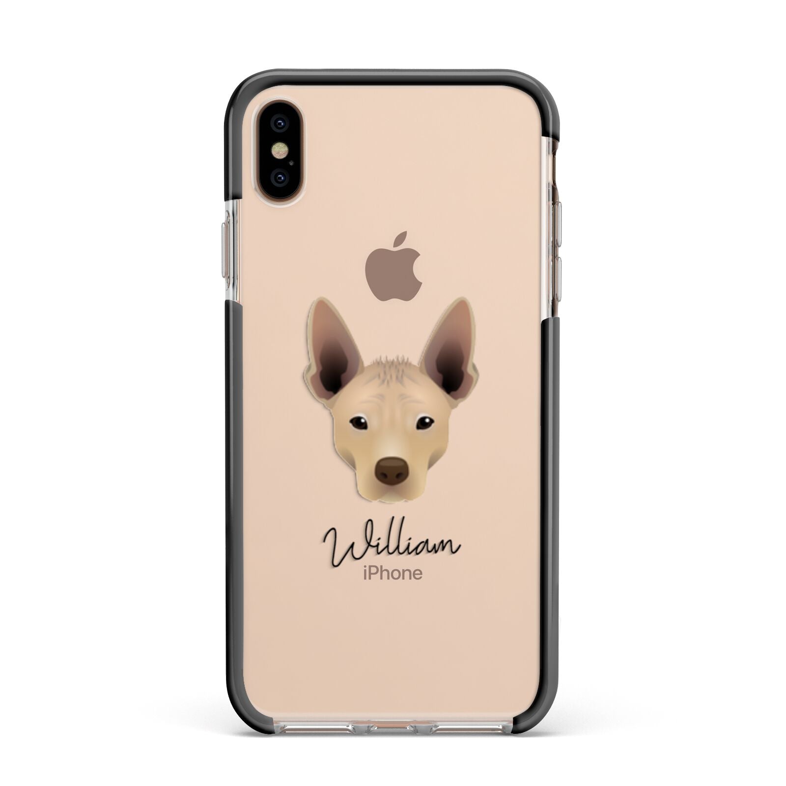 Mexican Hairless Personalised Apple iPhone Xs Max Impact Case Black Edge on Gold Phone