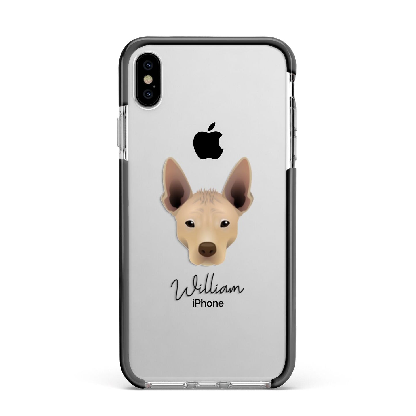 Mexican Hairless Personalised Apple iPhone Xs Max Impact Case Black Edge on Silver Phone