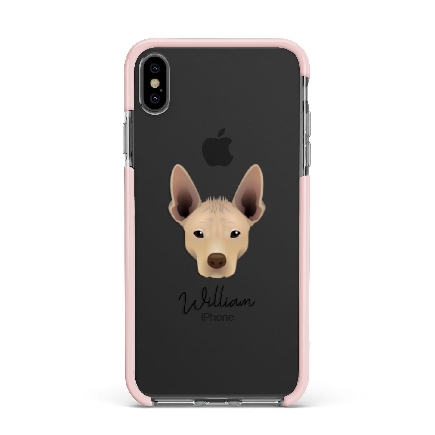 Mexican Hairless Personalised Apple iPhone Xs Max Impact Case Pink Edge on Black Phone