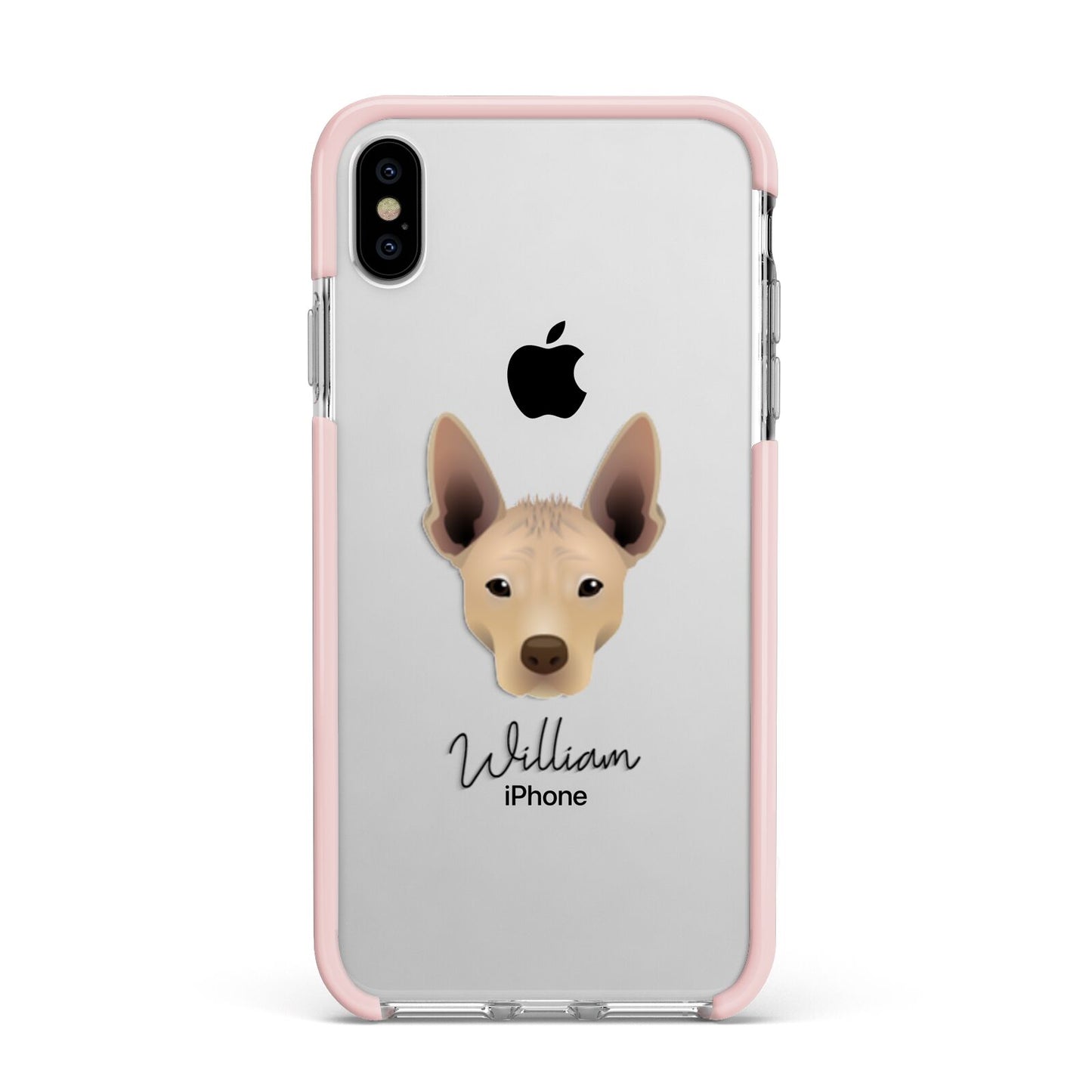 Mexican Hairless Personalised Apple iPhone Xs Max Impact Case Pink Edge on Silver Phone