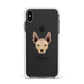 Mexican Hairless Personalised Apple iPhone Xs Max Impact Case White Edge on Black Phone
