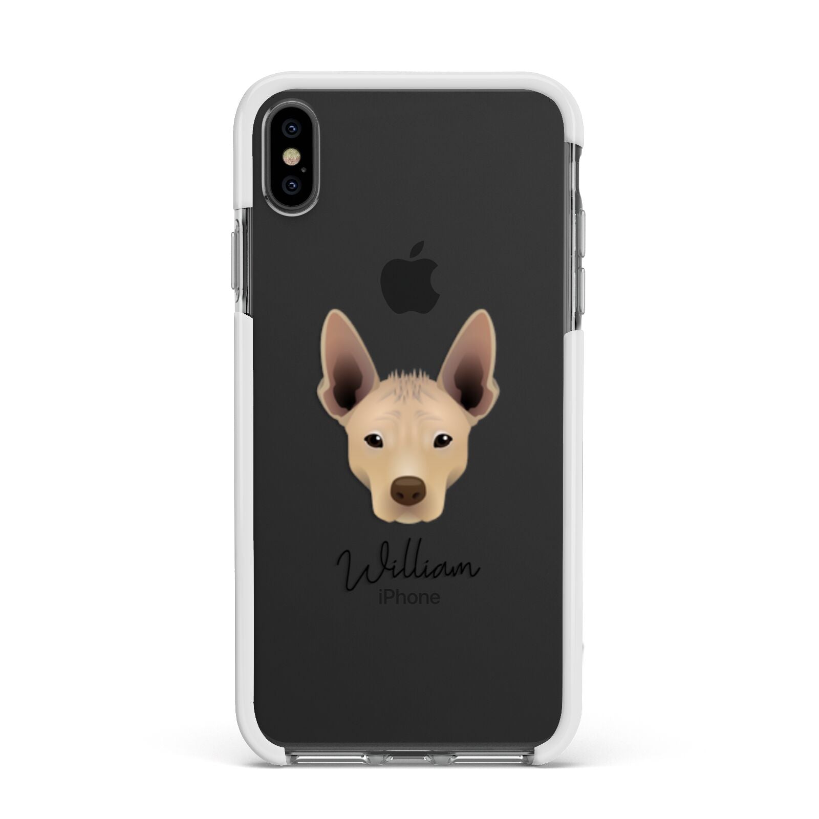 Mexican Hairless Personalised Apple iPhone Xs Max Impact Case White Edge on Black Phone