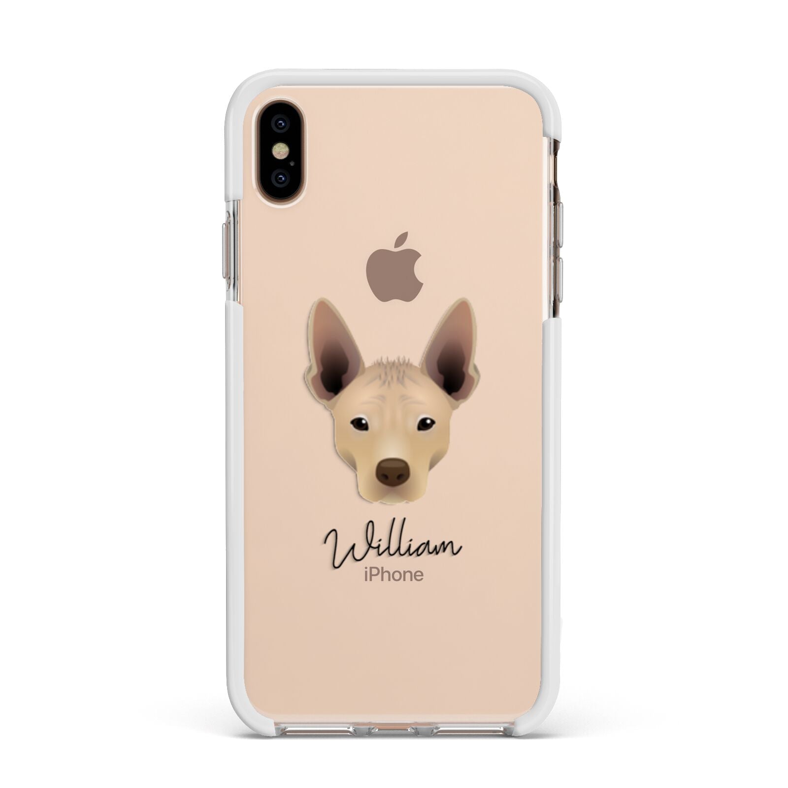 Mexican Hairless Personalised Apple iPhone Xs Max Impact Case White Edge on Gold Phone