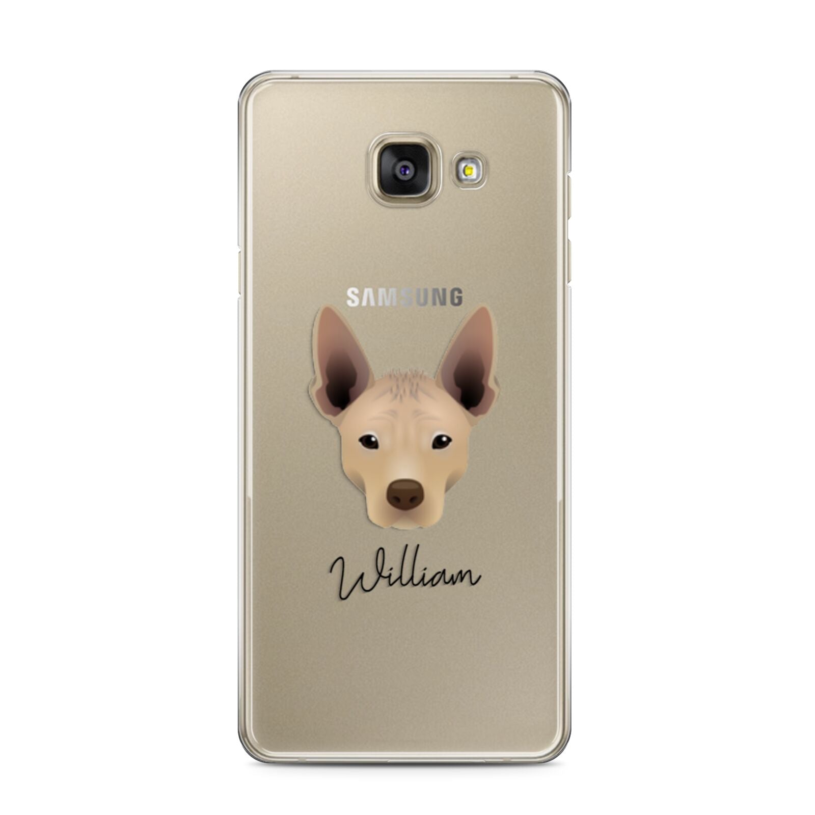 Mexican Hairless Personalised Samsung Galaxy A3 2016 Case on gold phone