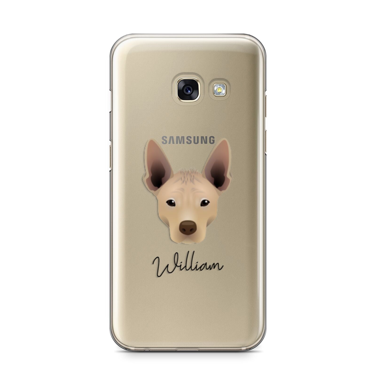 Mexican Hairless Personalised Samsung Galaxy A3 2017 Case on gold phone