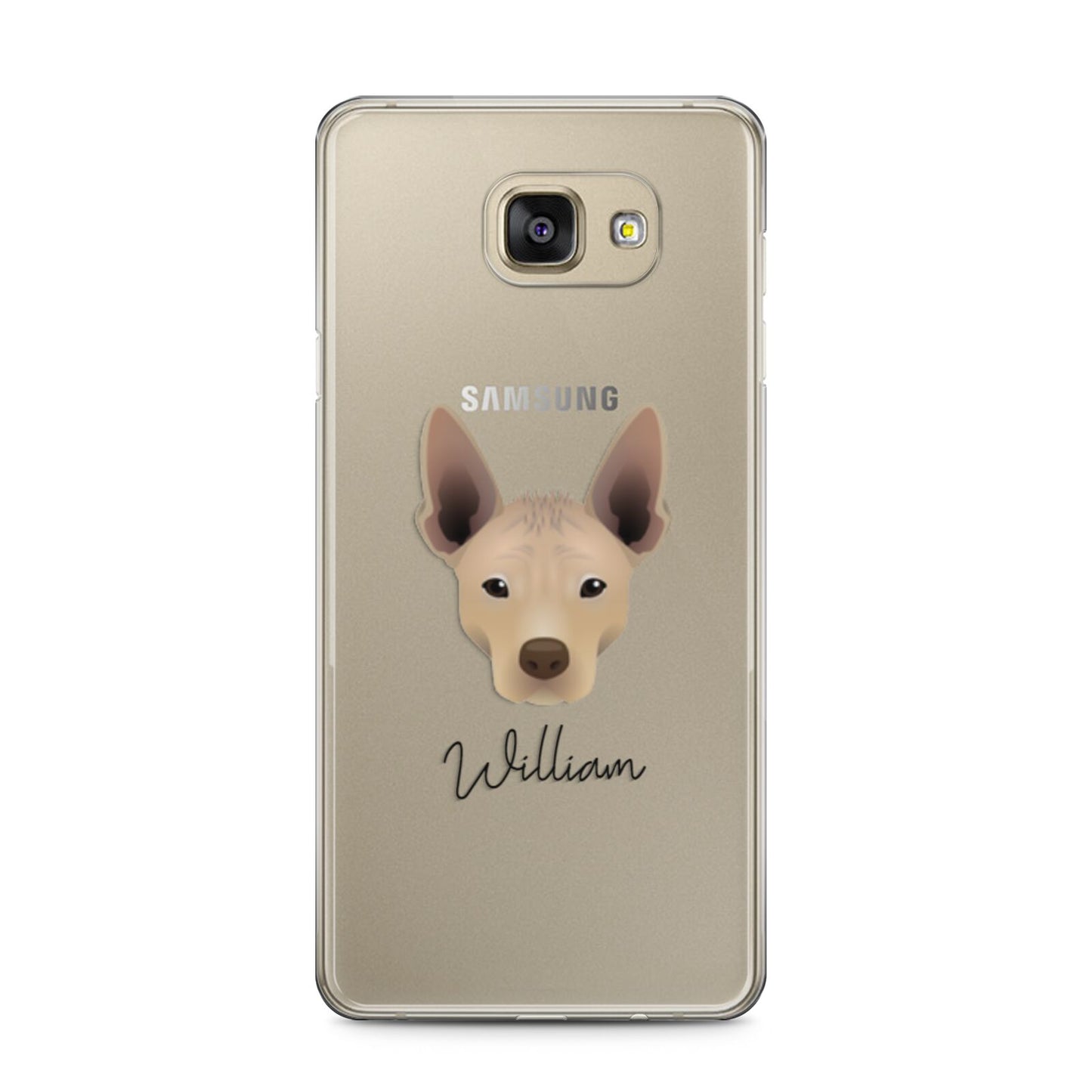 Mexican Hairless Personalised Samsung Galaxy A5 2016 Case on gold phone