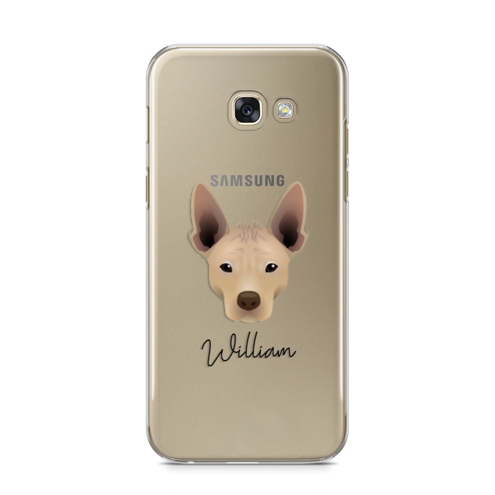 Mexican Hairless Personalised Samsung Galaxy A5 2017 Case on gold phone