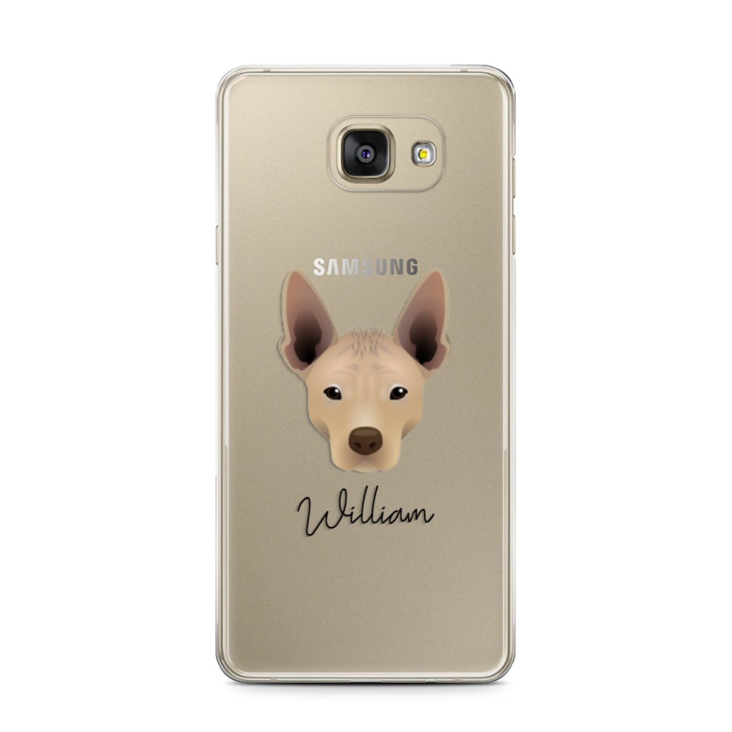 Mexican Hairless Personalised Samsung Galaxy A7 2016 Case on gold phone