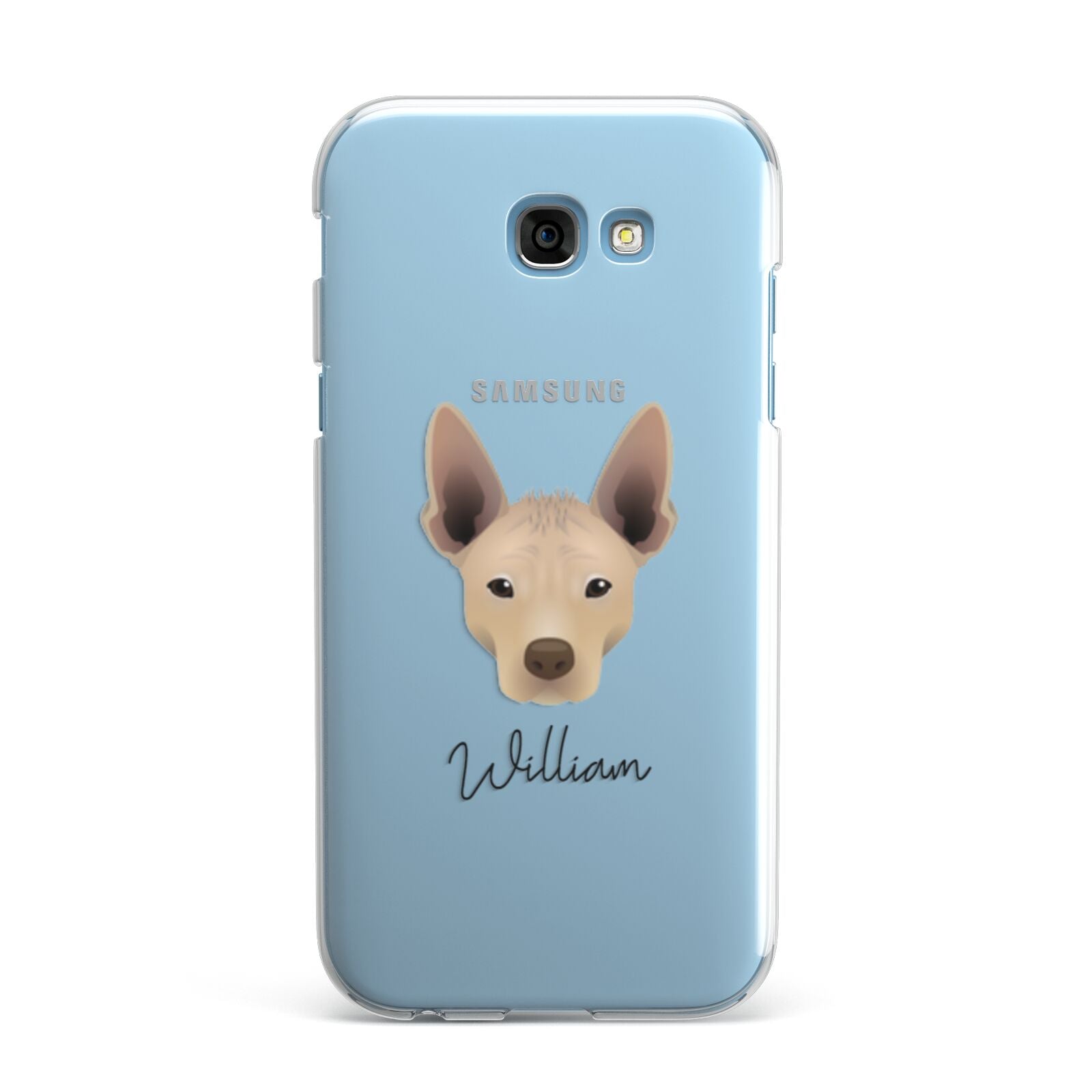 Mexican Hairless Personalised Samsung Galaxy A7 2017 Case