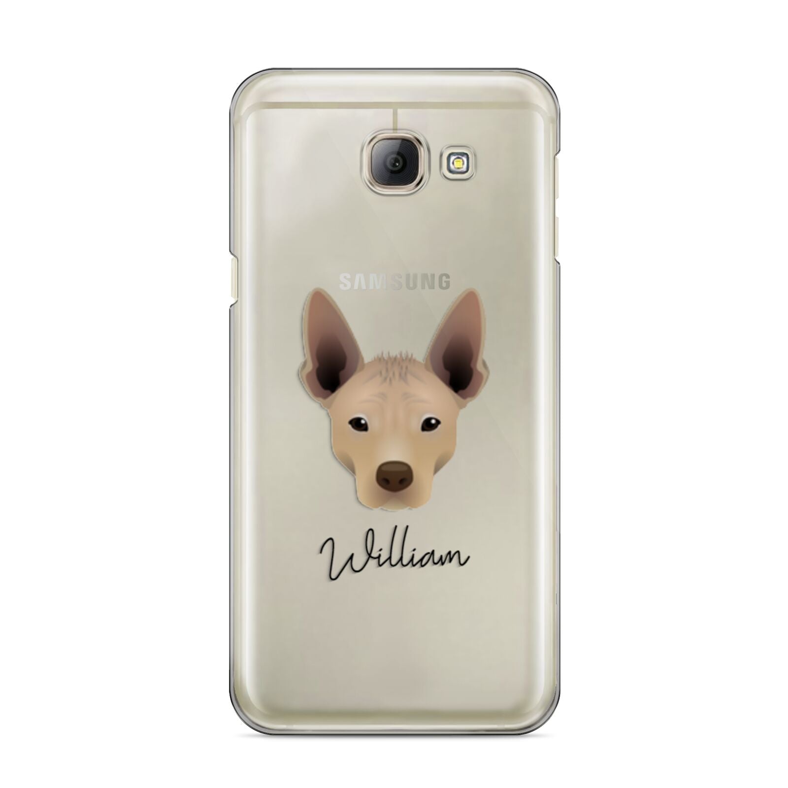 Mexican Hairless Personalised Samsung Galaxy A8 2016 Case