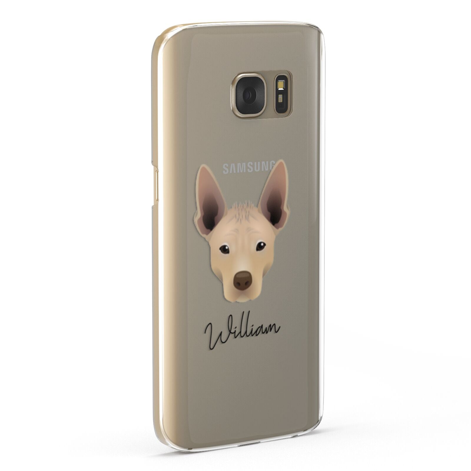 Mexican Hairless Personalised Samsung Galaxy Case Fourty Five Degrees