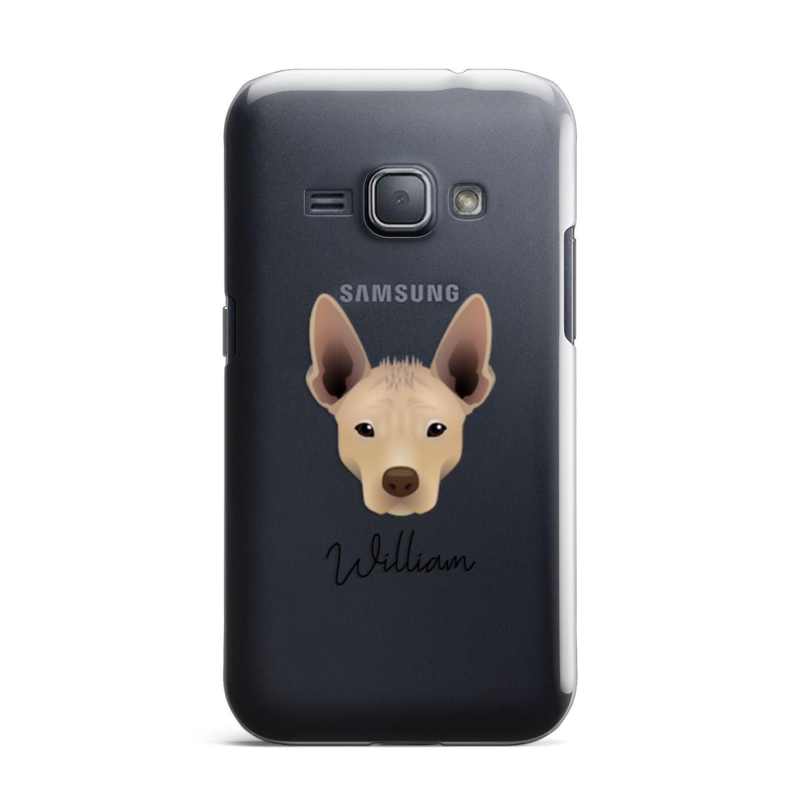 Mexican Hairless Personalised Samsung Galaxy J1 2016 Case