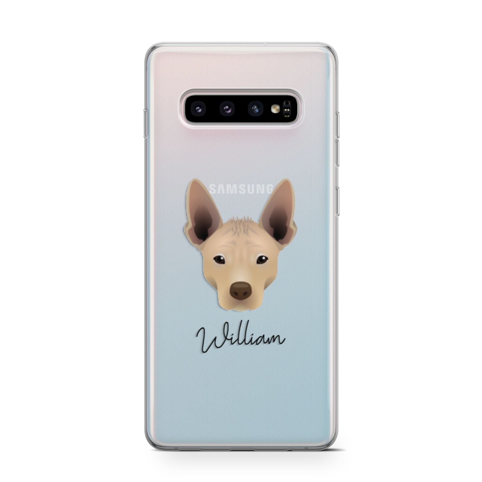 Mexican Hairless Personalised Samsung Galaxy S10 Case
