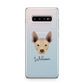 Mexican Hairless Personalised Samsung Galaxy S10 Plus Case