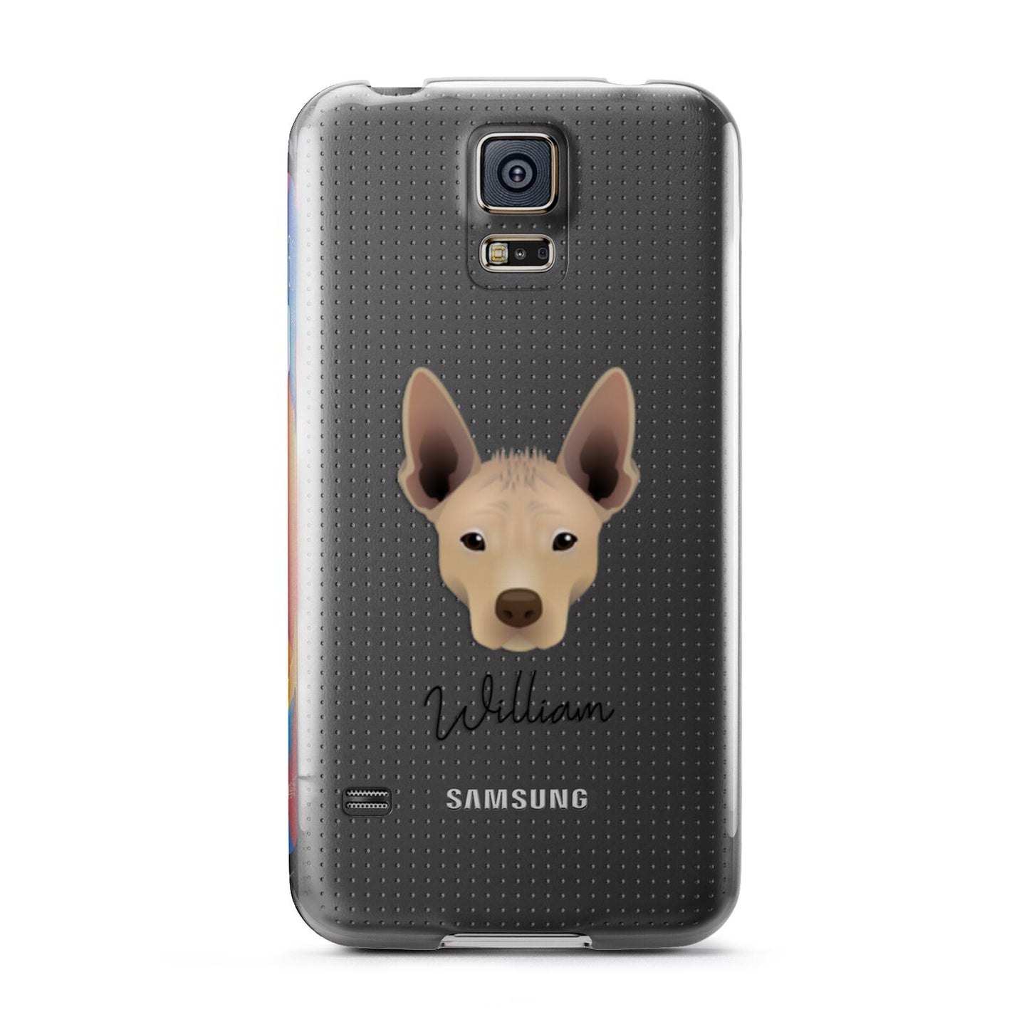 Mexican Hairless Personalised Samsung Galaxy S5 Case