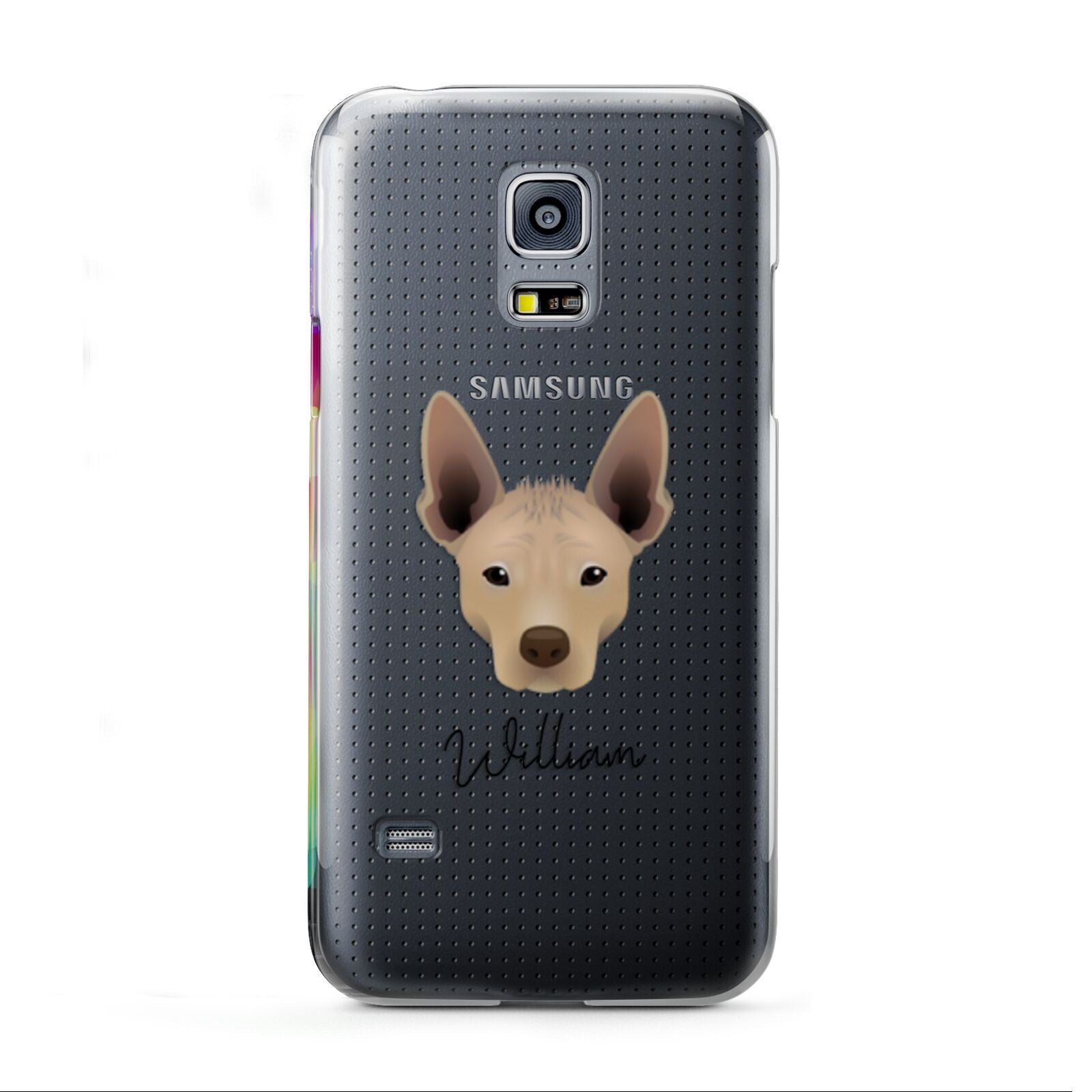 Mexican Hairless Personalised Samsung Galaxy S5 Mini Case
