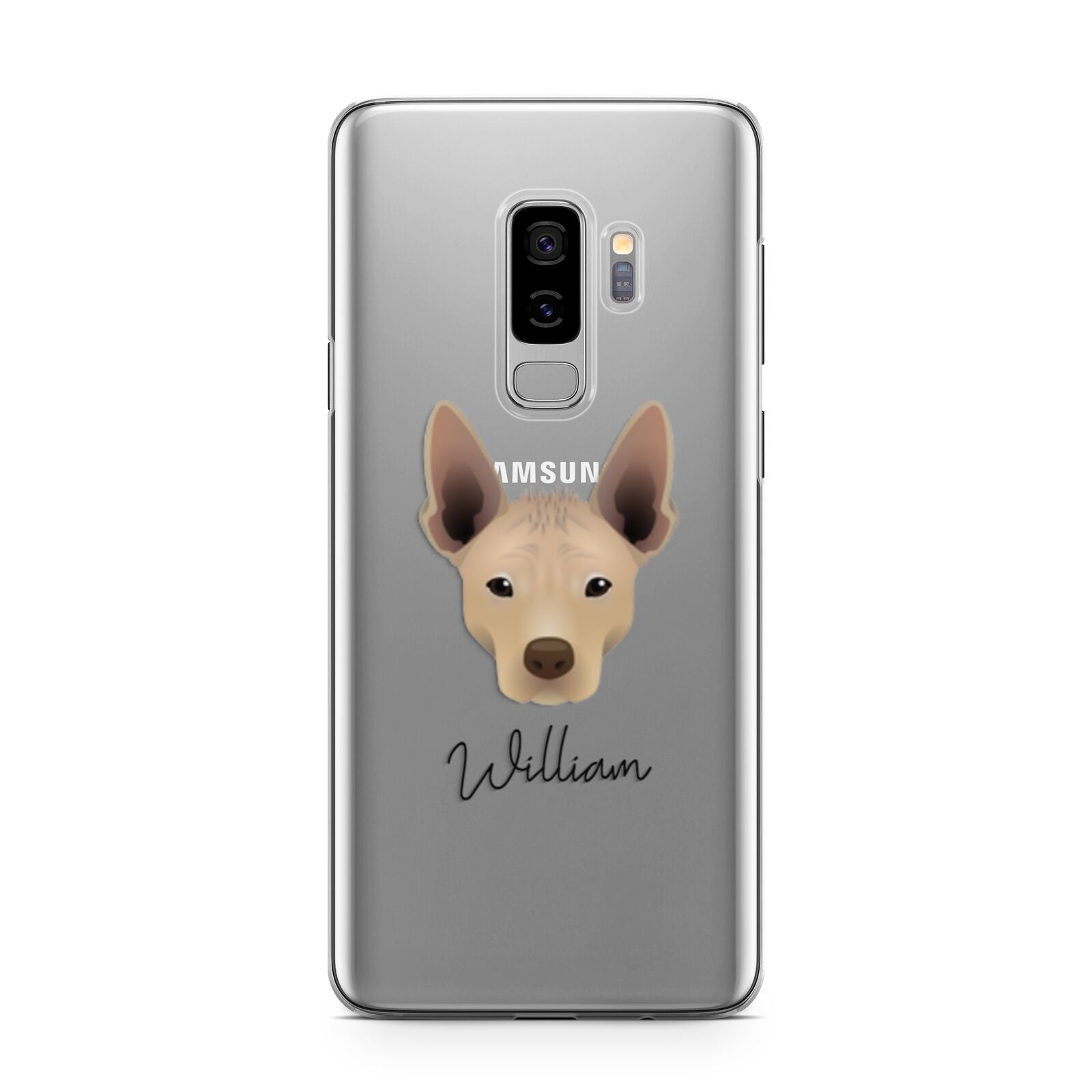 Mexican Hairless Personalised Samsung Galaxy S9 Plus Case on Silver phone