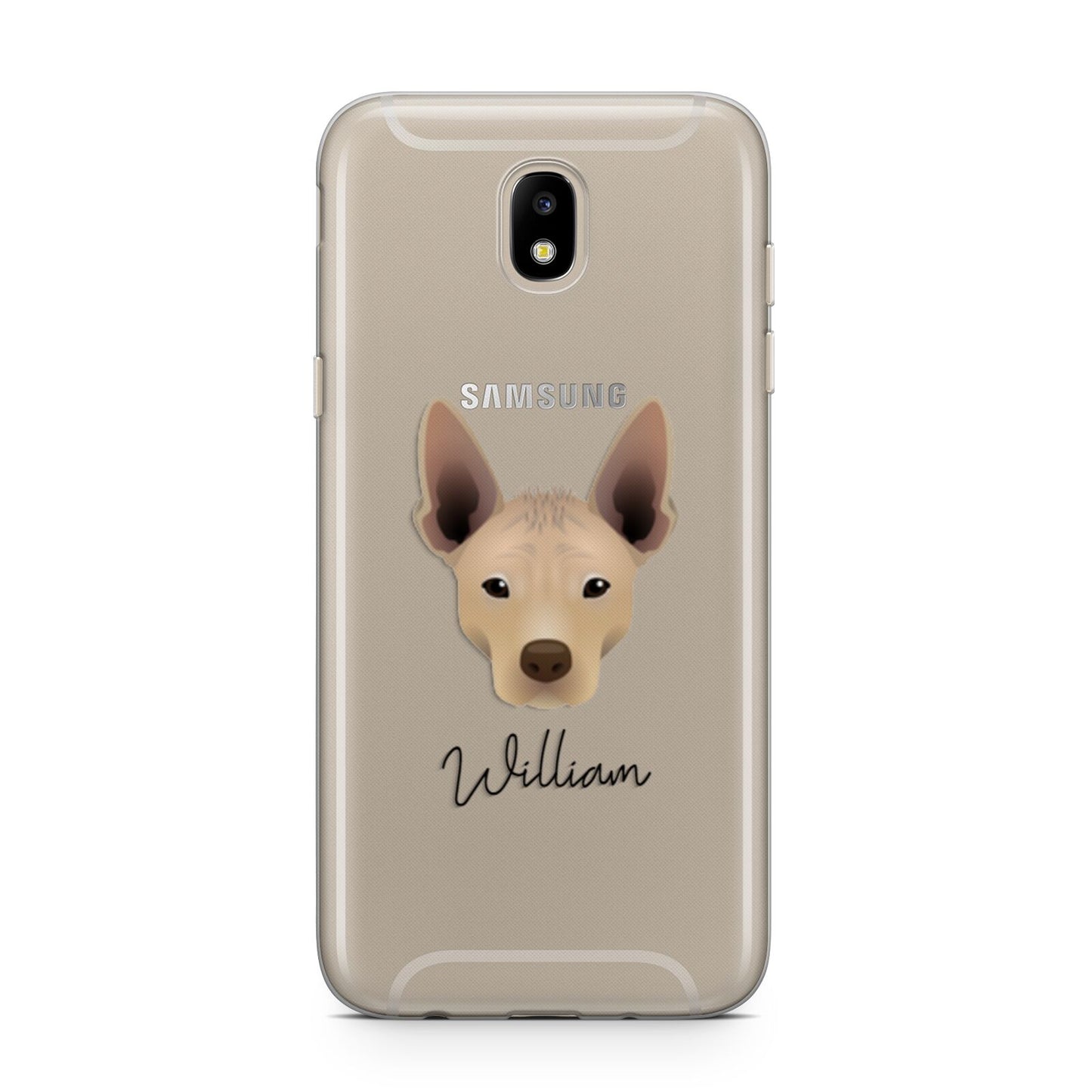 Mexican Hairless Personalised Samsung J5 2017 Case