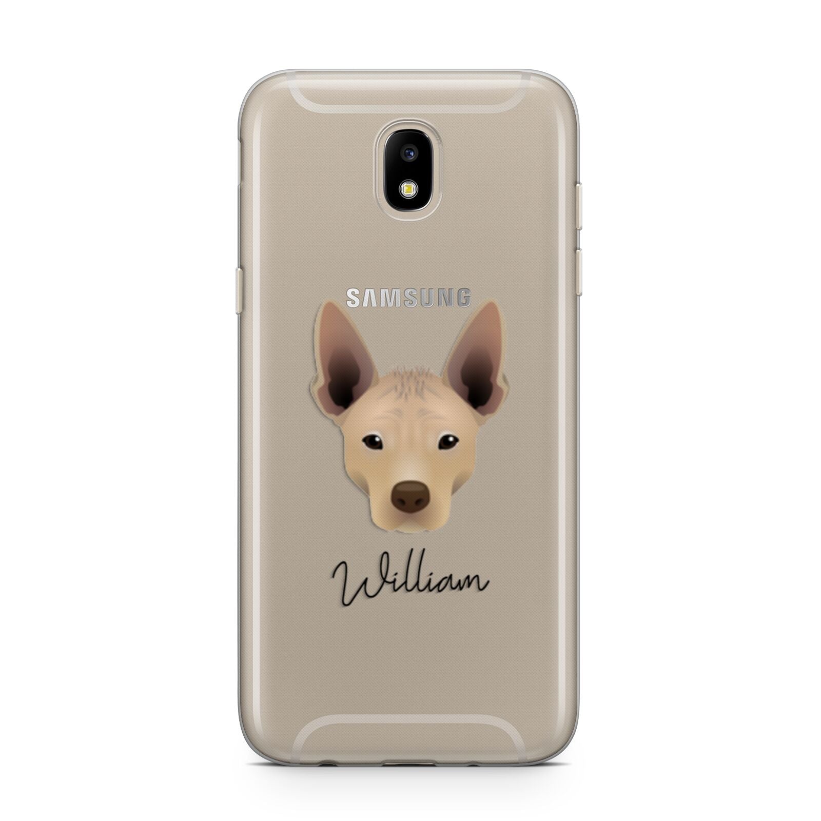 Mexican Hairless Personalised Samsung J5 2017 Case