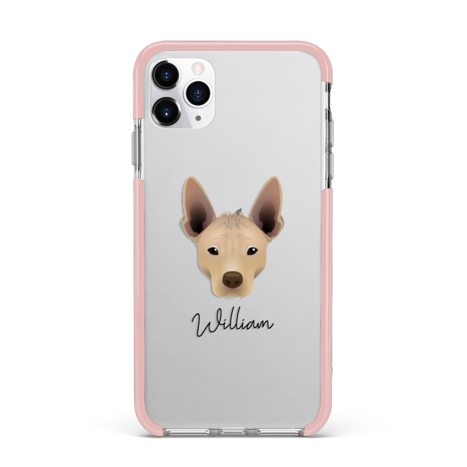 Mexican Hairless Personalised iPhone 11 Pro Max Impact Pink Edge Case
