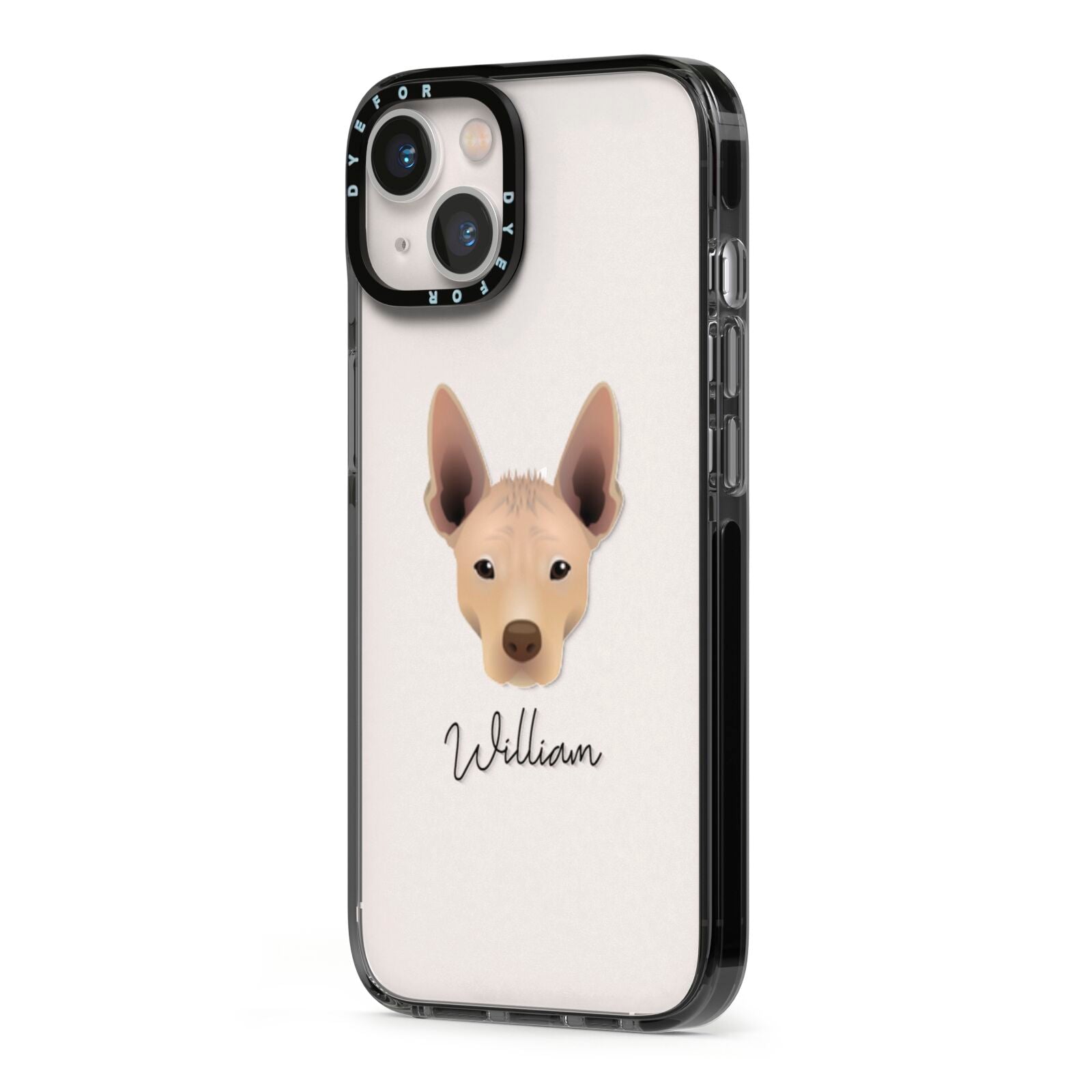 Mexican Hairless Personalised iPhone 13 Black Impact Case Side Angle on Silver phone