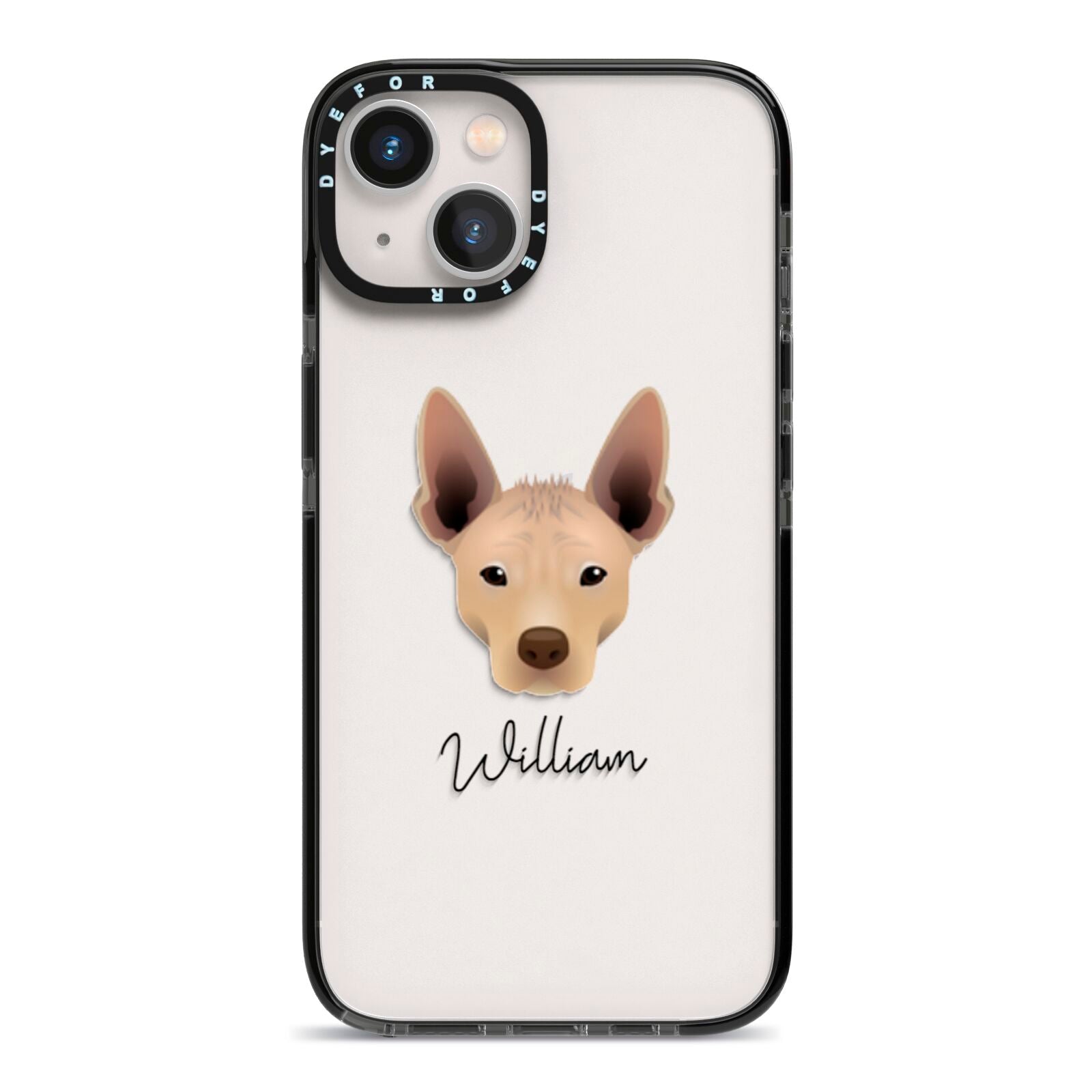 Mexican Hairless Personalised iPhone 13 Black Impact Case on Silver phone