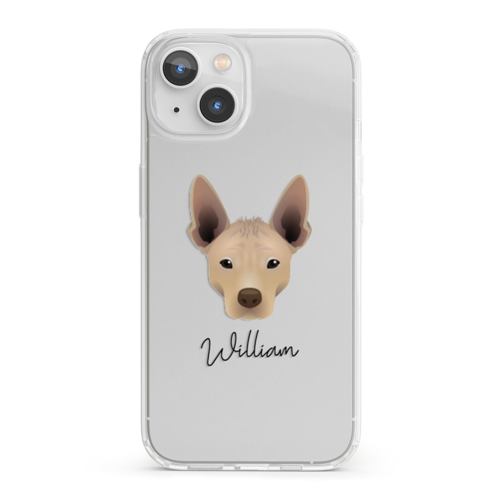 Mexican Hairless Personalised iPhone 13 Clear Bumper Case