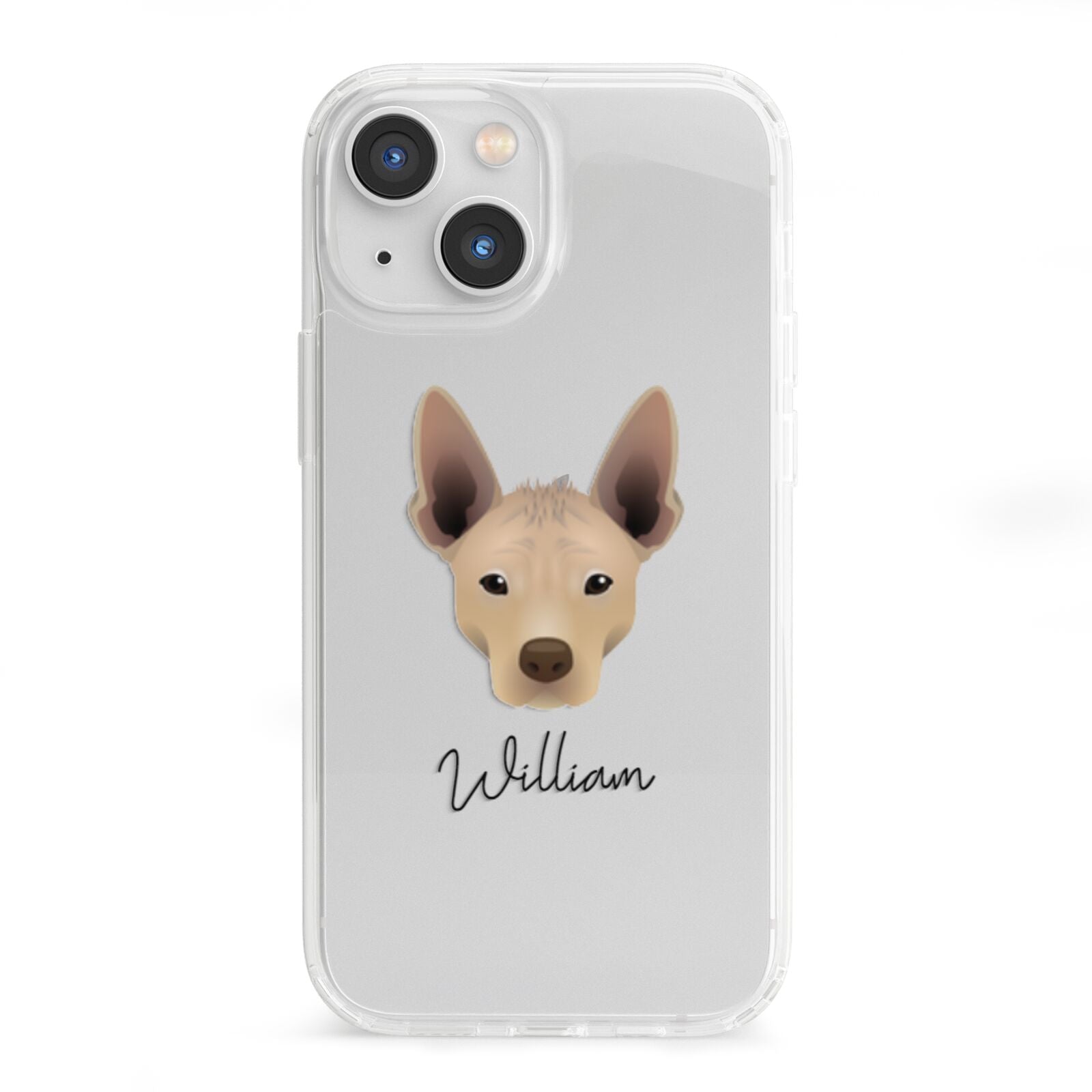 Mexican Hairless Personalised iPhone 13 Mini Clear Bumper Case