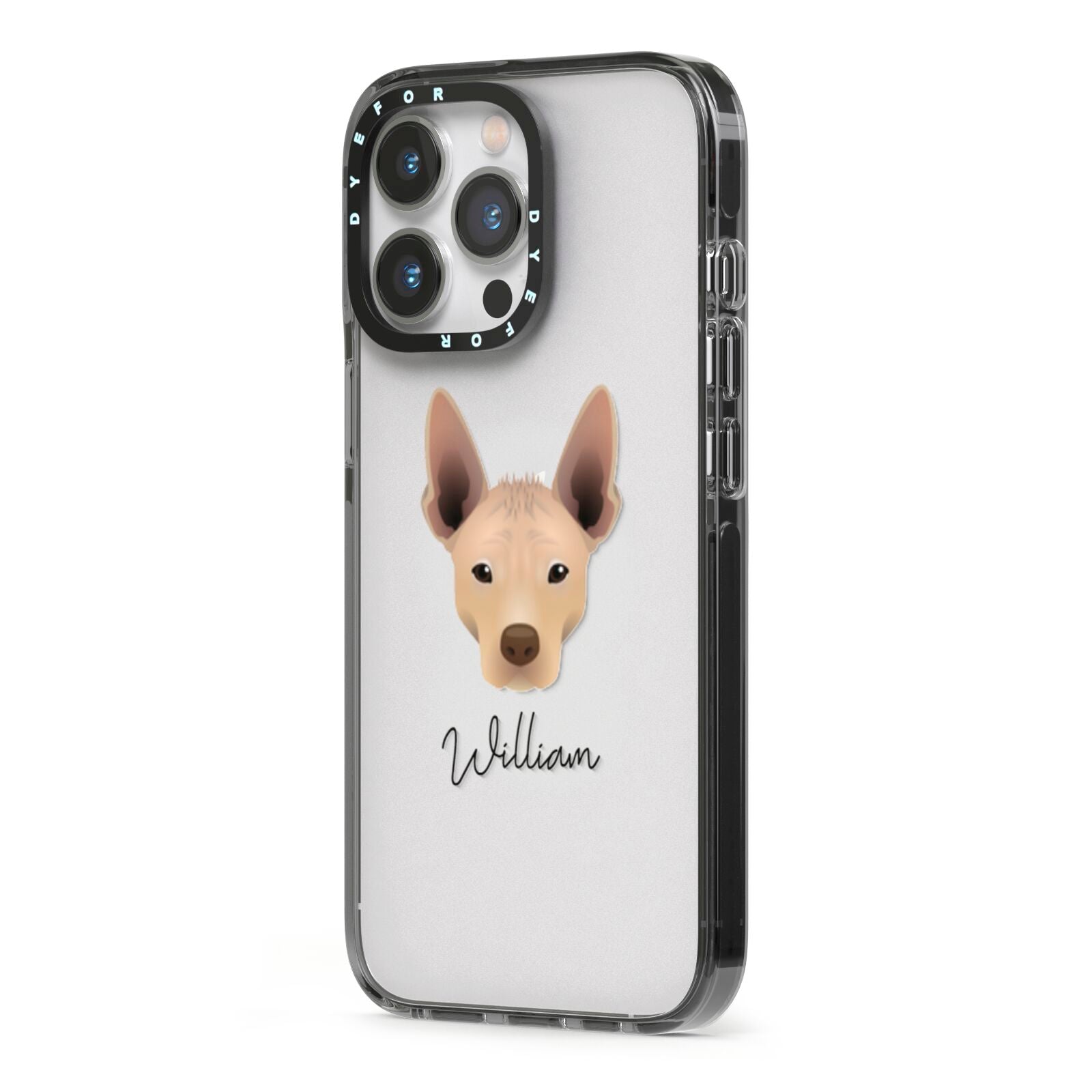 Mexican Hairless Personalised iPhone 13 Pro Black Impact Case Side Angle on Silver phone