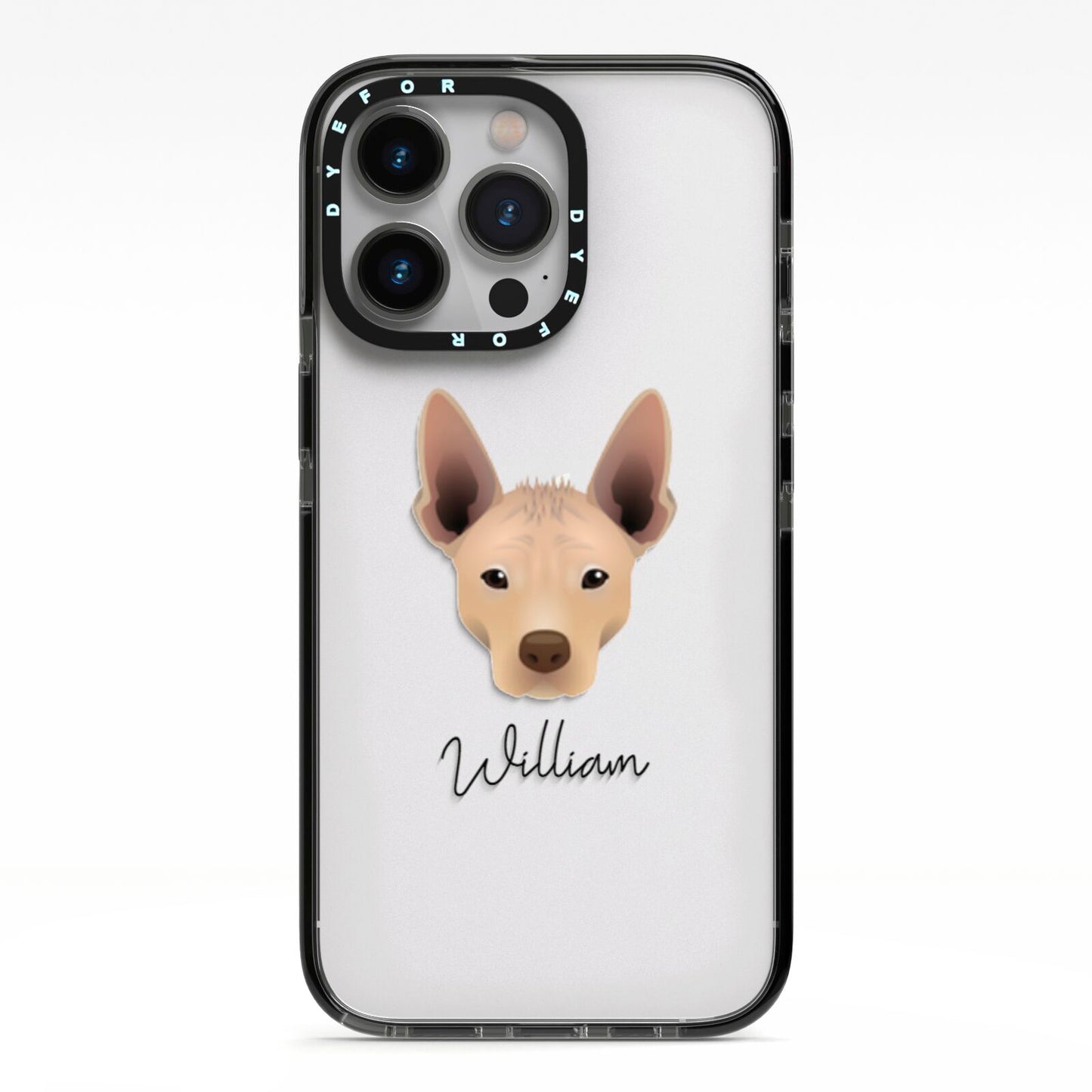 Mexican Hairless Personalised iPhone 13 Pro Black Impact Case on Silver phone