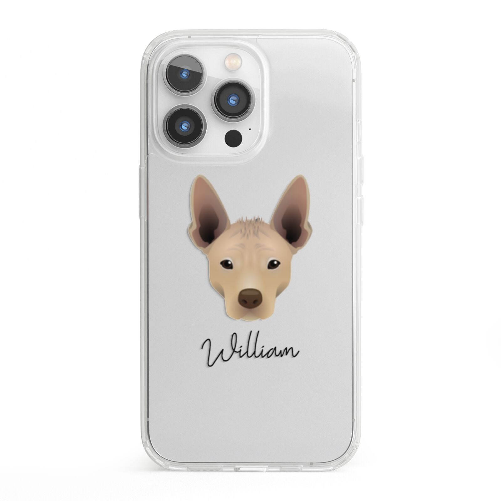 Mexican Hairless Personalised iPhone 13 Pro Clear Bumper Case