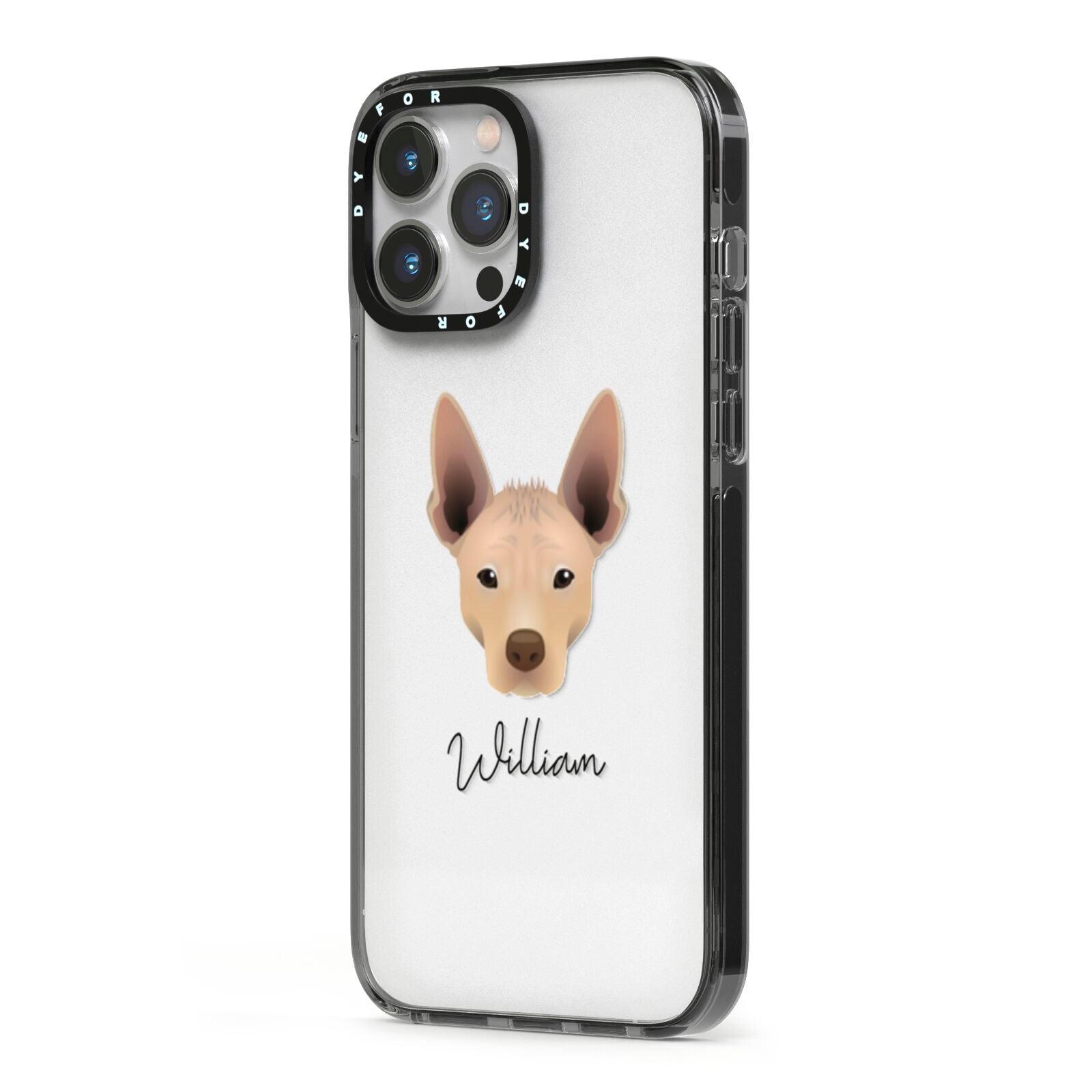Mexican Hairless Personalised iPhone 13 Pro Max Black Impact Case Side Angle on Silver phone