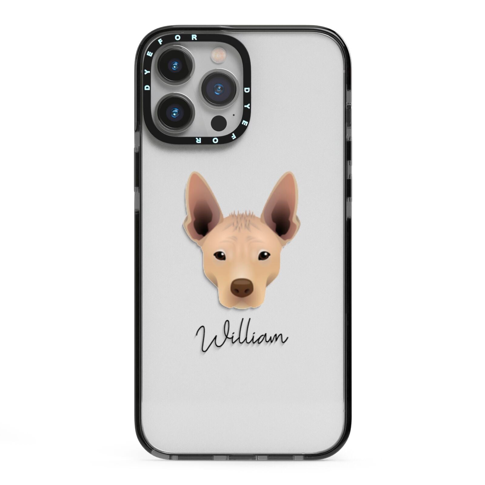 Mexican Hairless Personalised iPhone 13 Pro Max Black Impact Case on Silver phone