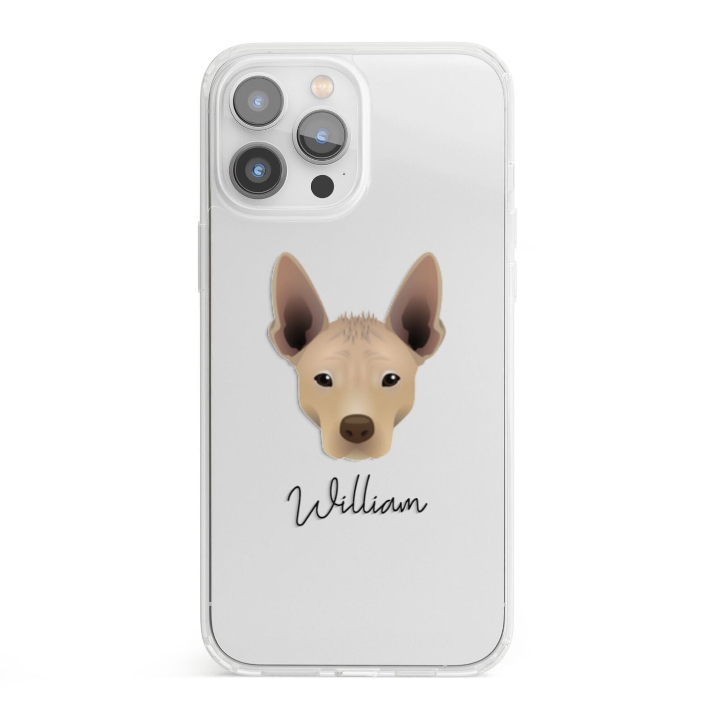 Mexican Hairless Personalised iPhone 13 Pro Max Clear Bumper Case