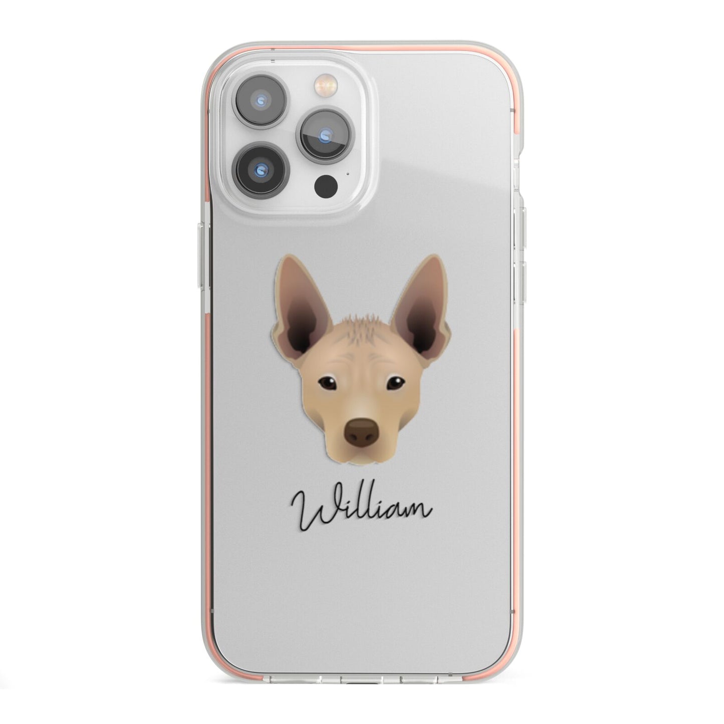 Mexican Hairless Personalised iPhone 13 Pro Max TPU Impact Case with Pink Edges