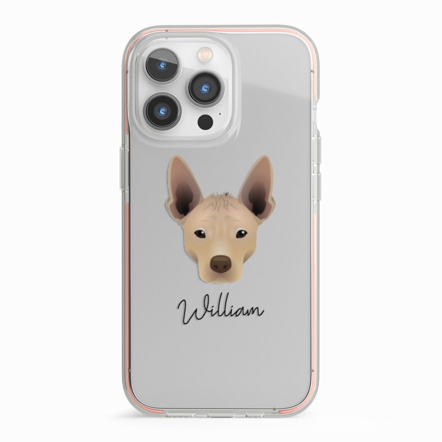 Mexican Hairless Personalised iPhone 13 Pro TPU Impact Case with Pink Edges
