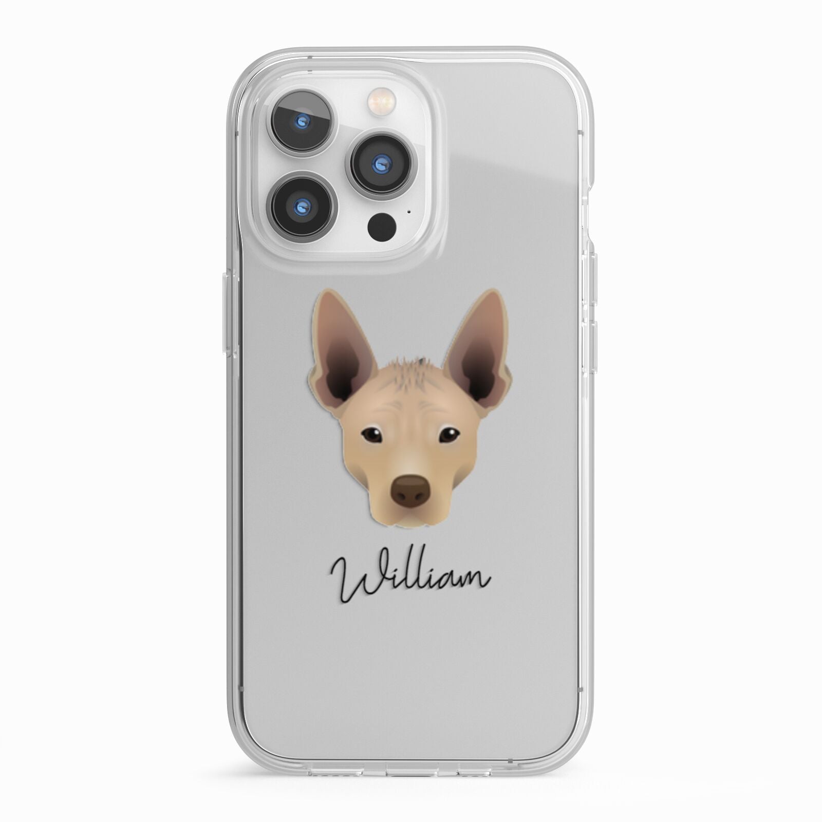 Mexican Hairless Personalised iPhone 13 Pro TPU Impact Case with White Edges