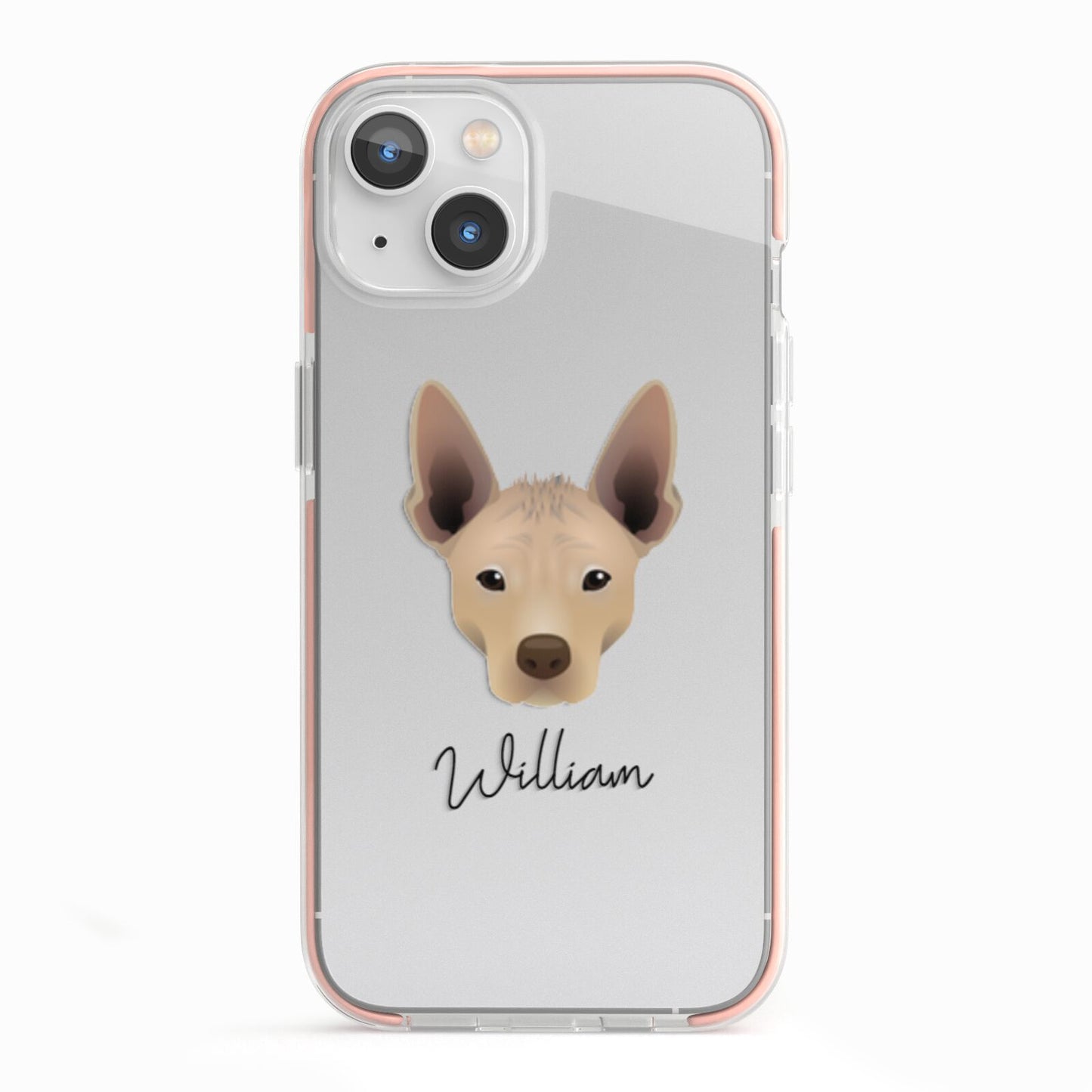 Mexican Hairless Personalised iPhone 13 TPU Impact Case with Pink Edges