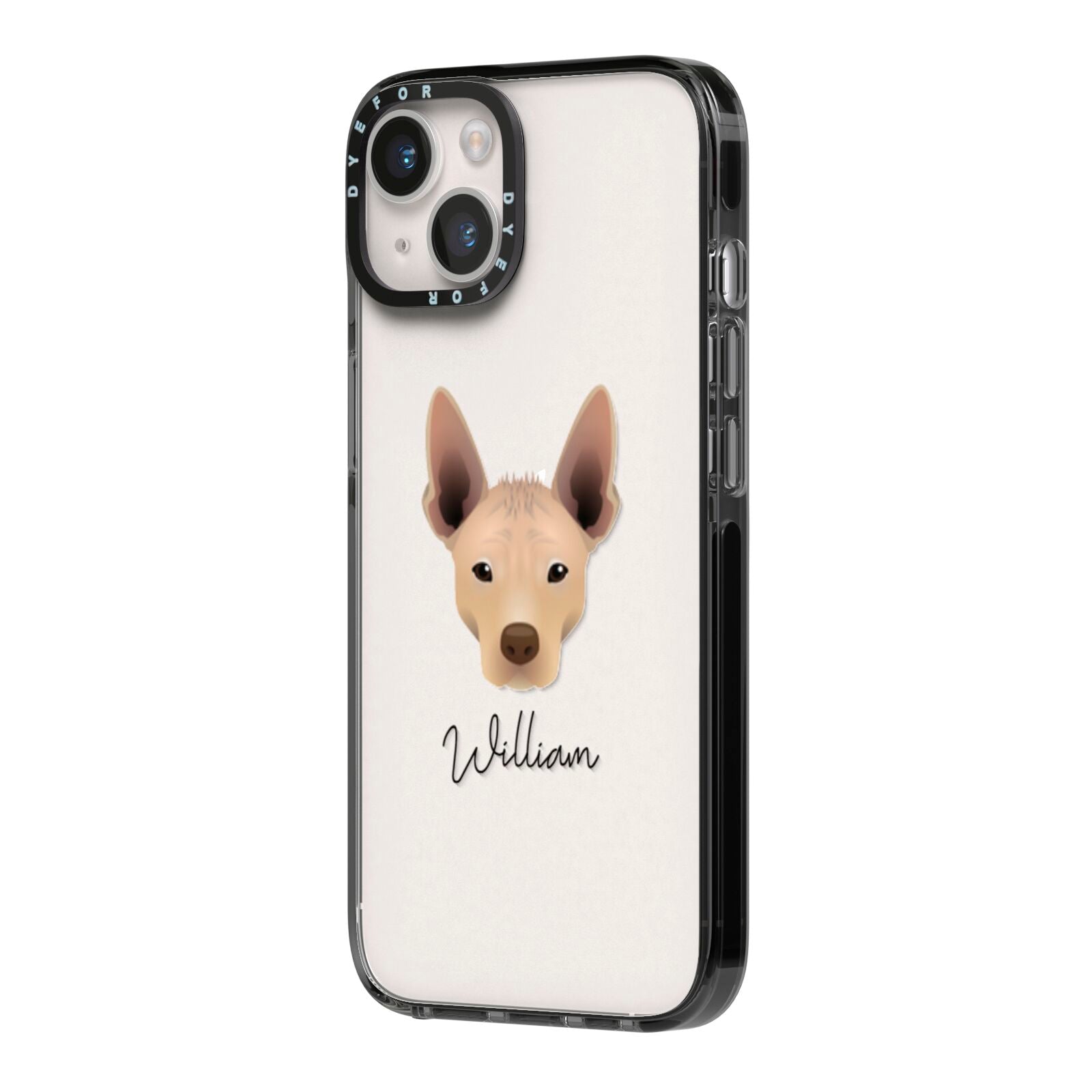Mexican Hairless Personalised iPhone 14 Black Impact Case Side Angle on Silver phone